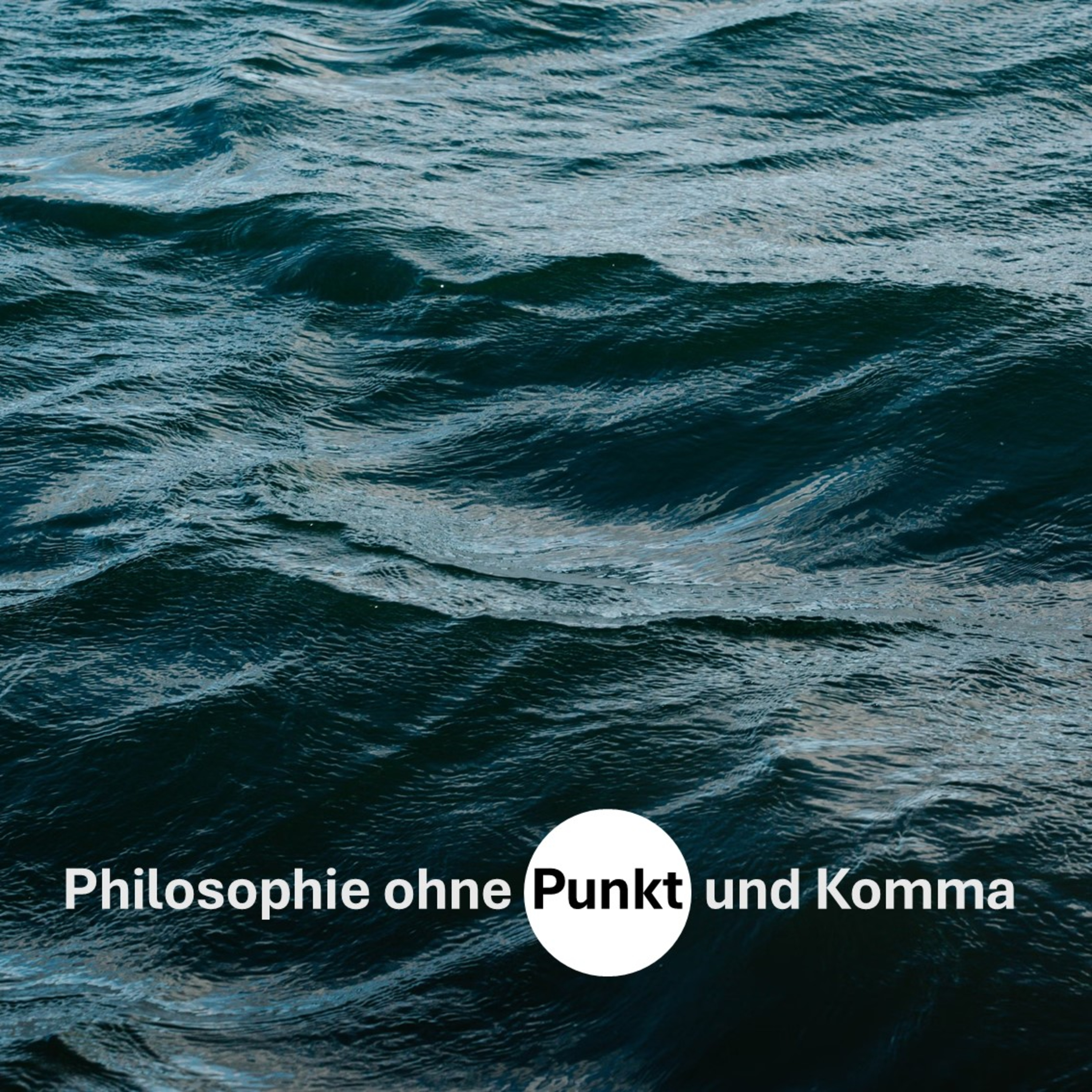 Kann KI denken? Von stochastischen Papageien und Sprachbedeutung nach Wittgenstein (mit Peter Kuhn) episode artwork