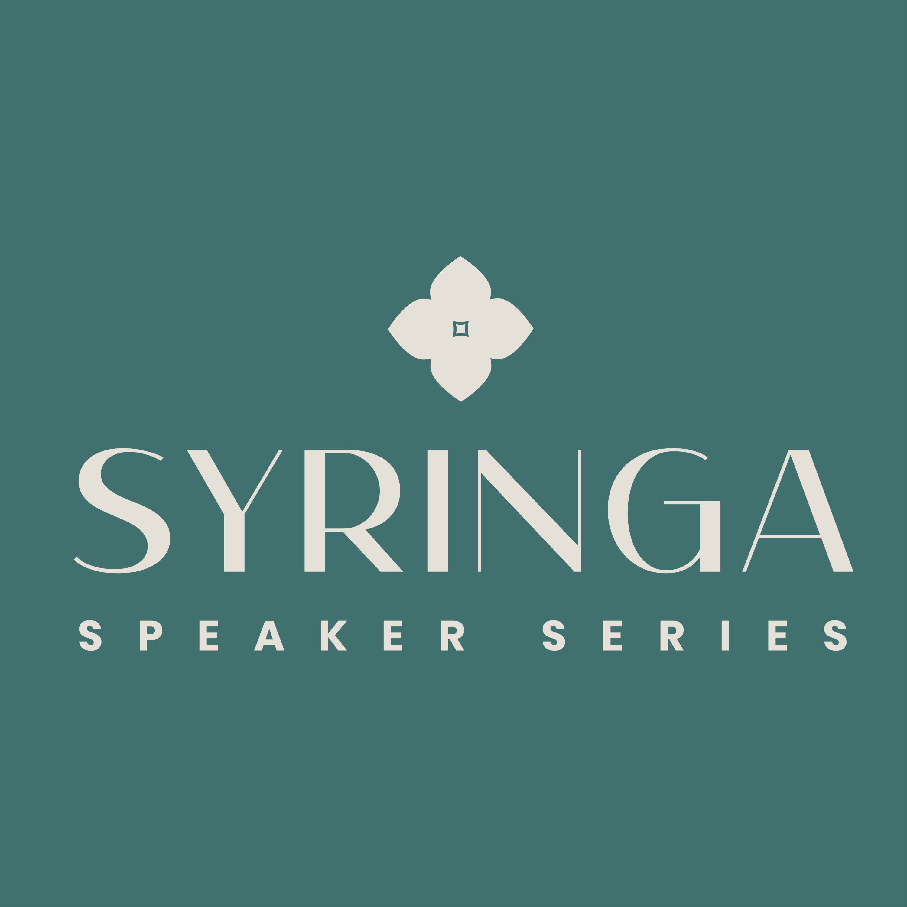 Boise At A Crossroads with Lynn Bradescu