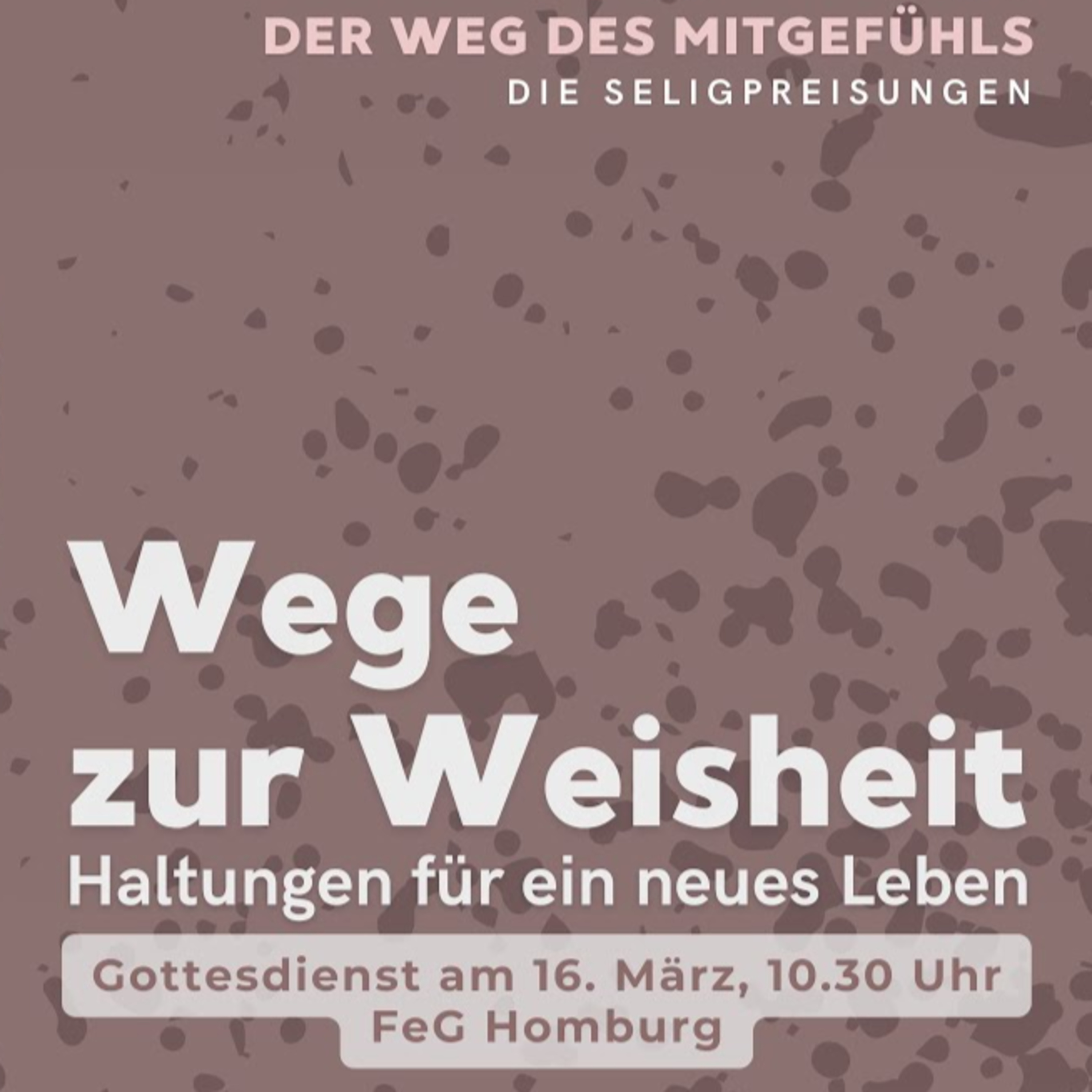 Der Weg des Mitgefühls - 9 Wege zur Weisheit (Seligpreisungen 5 - Matthäus 5,7) | Lucas Pöpel episode artwork