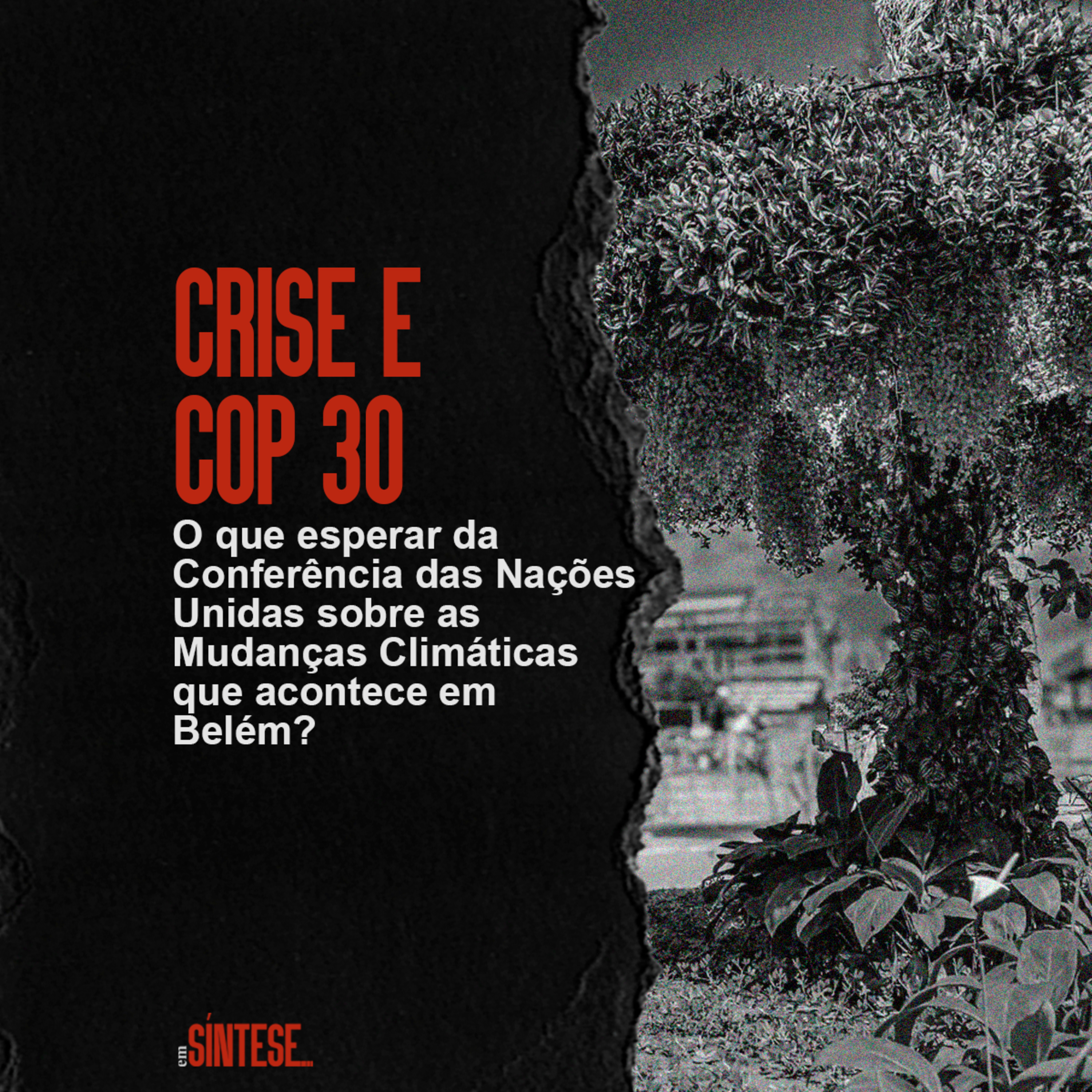 Em Síntese