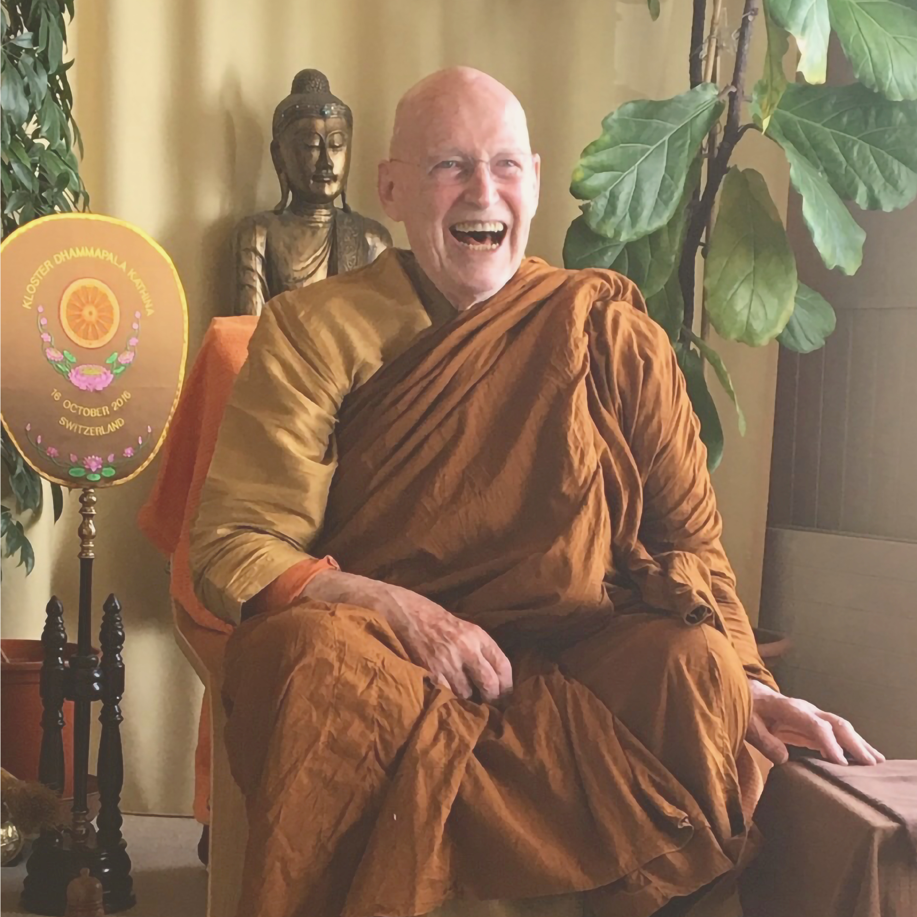 Puntos para la Meditación/Reflexión - Ajahn Sumedho | Budismo Theravada episode artwork