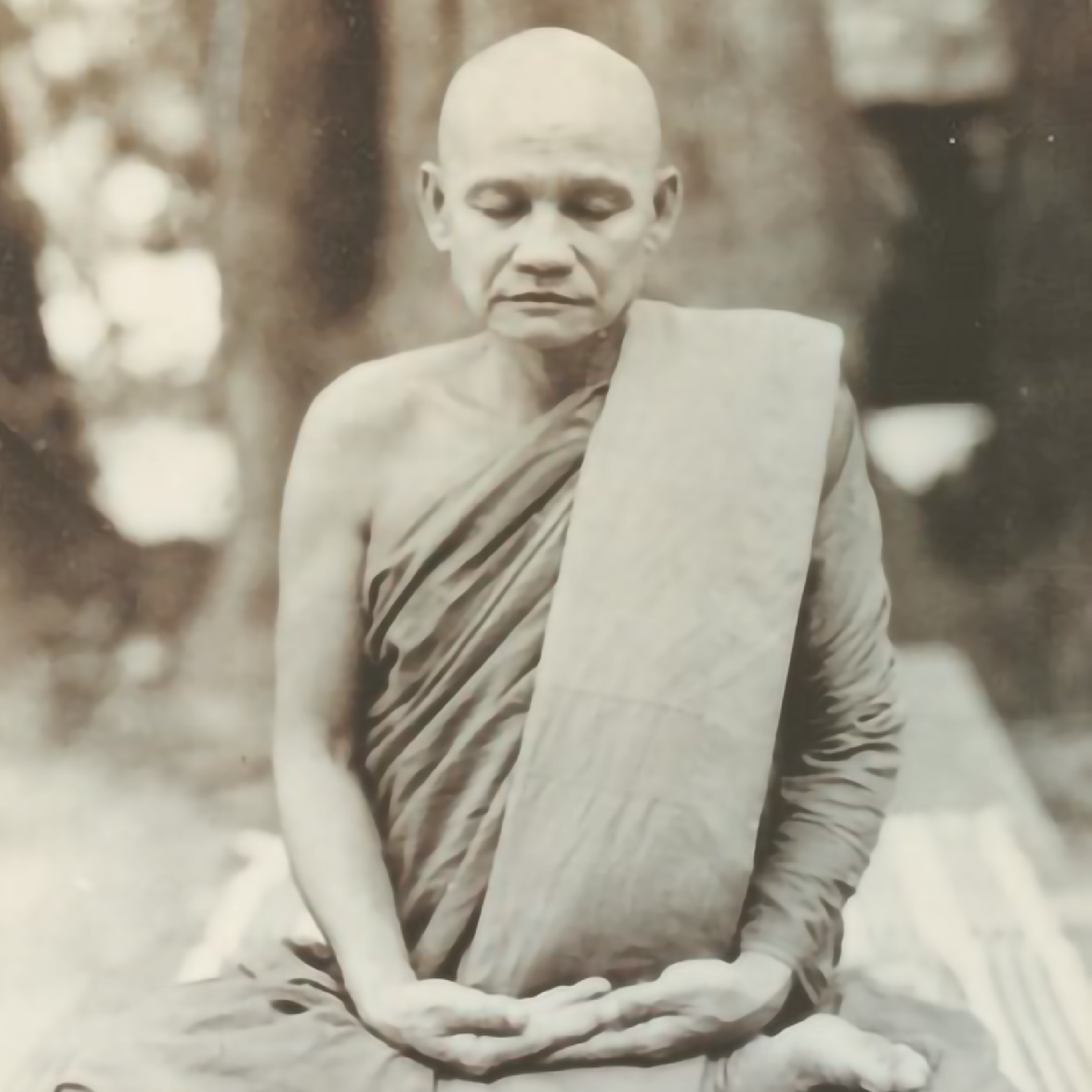 Desarrollando la Concentración de la Mente (Samādhi) - Ajahn Chah | Budismo Theravada episode artwork