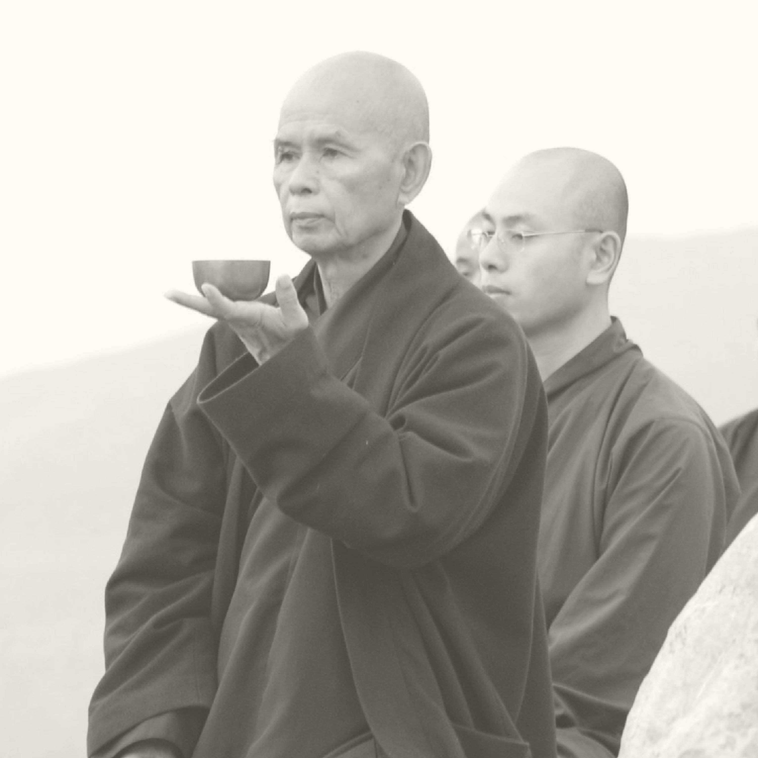 Por Favor, Llámame Por Mis Verdaderos Nombres - Thích Nhất Hạnh | Budismo Zen episode artwork