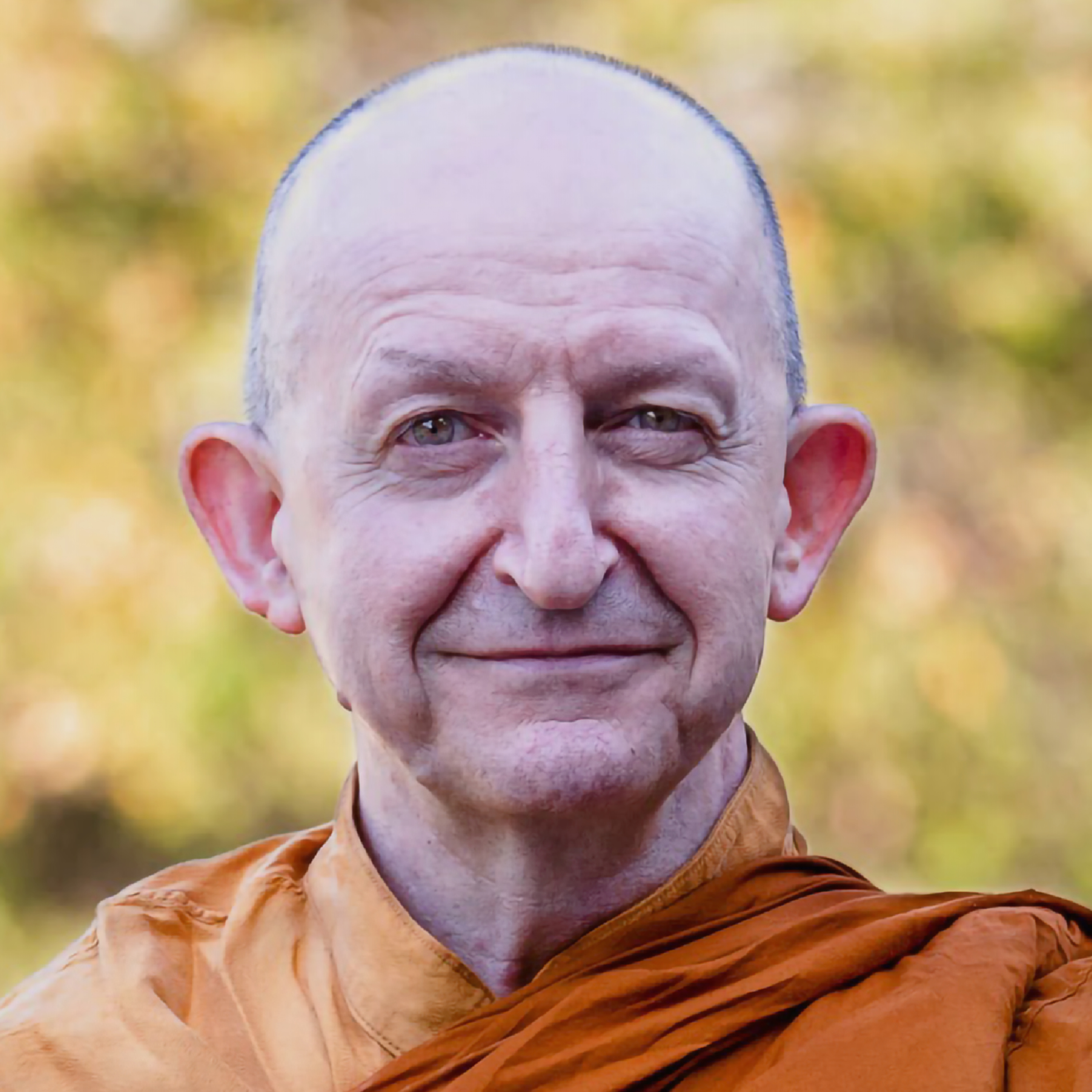 Meditando con los Maestros