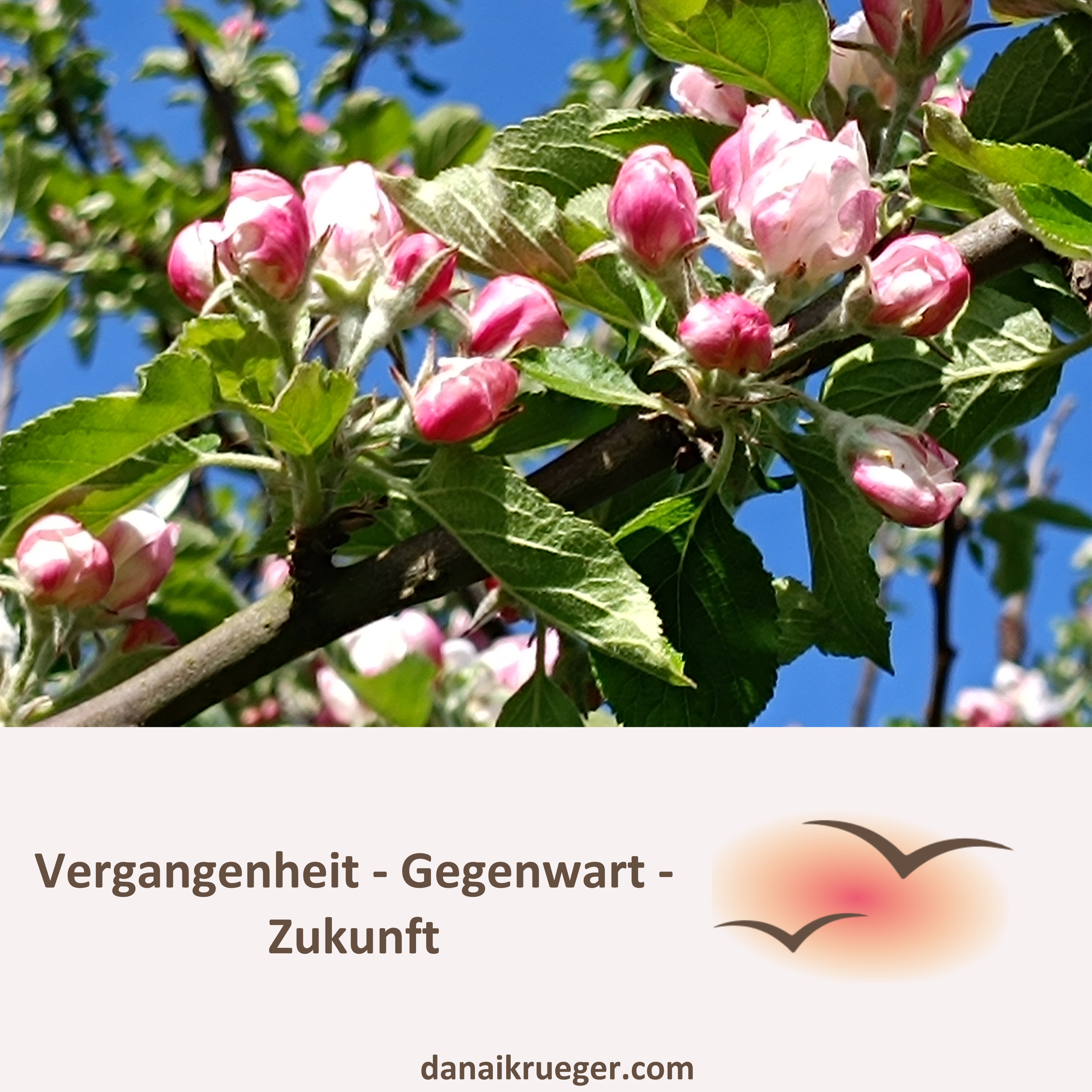 Spiritualität - Mitten im Leben