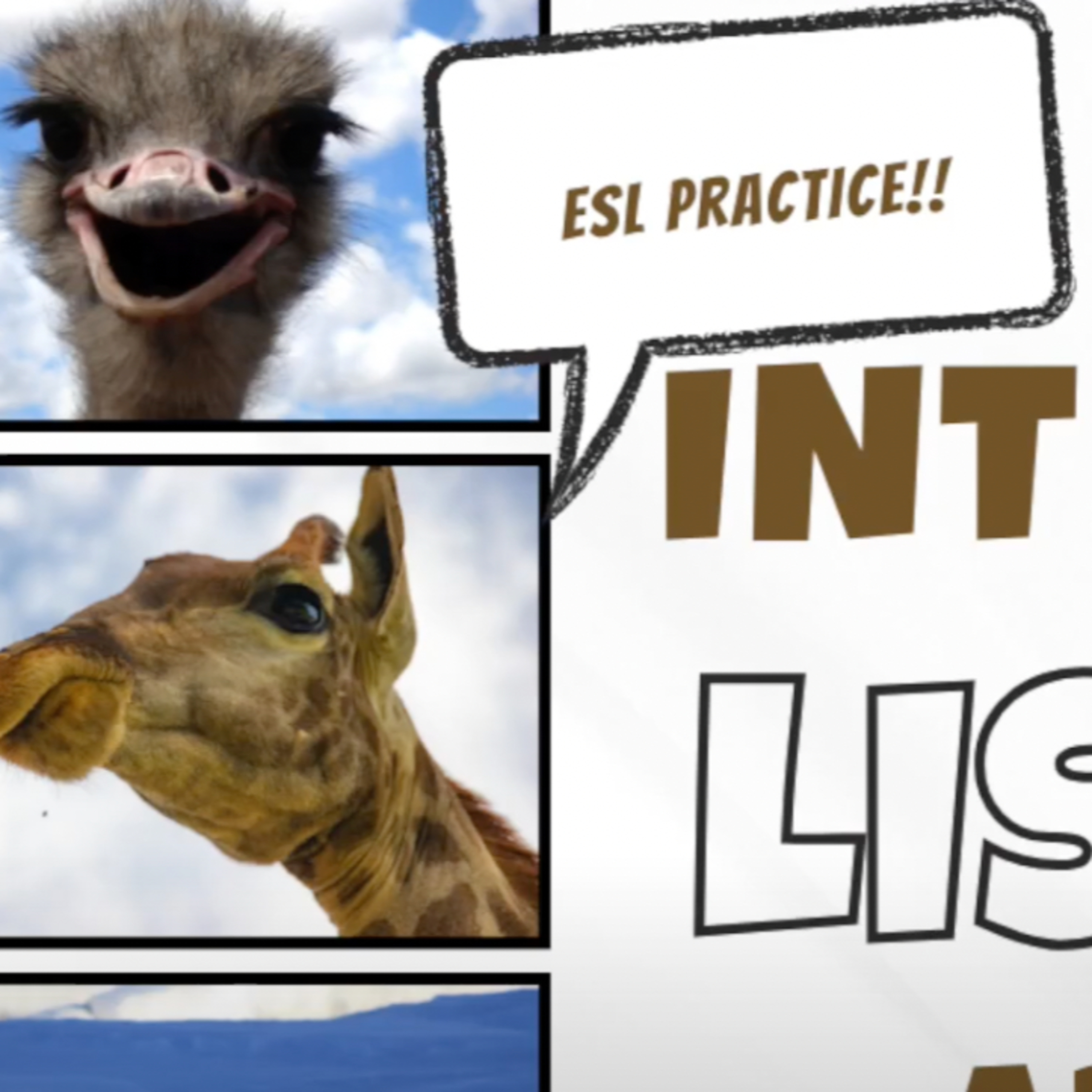 Intermediate ESL Listening #2 Animals