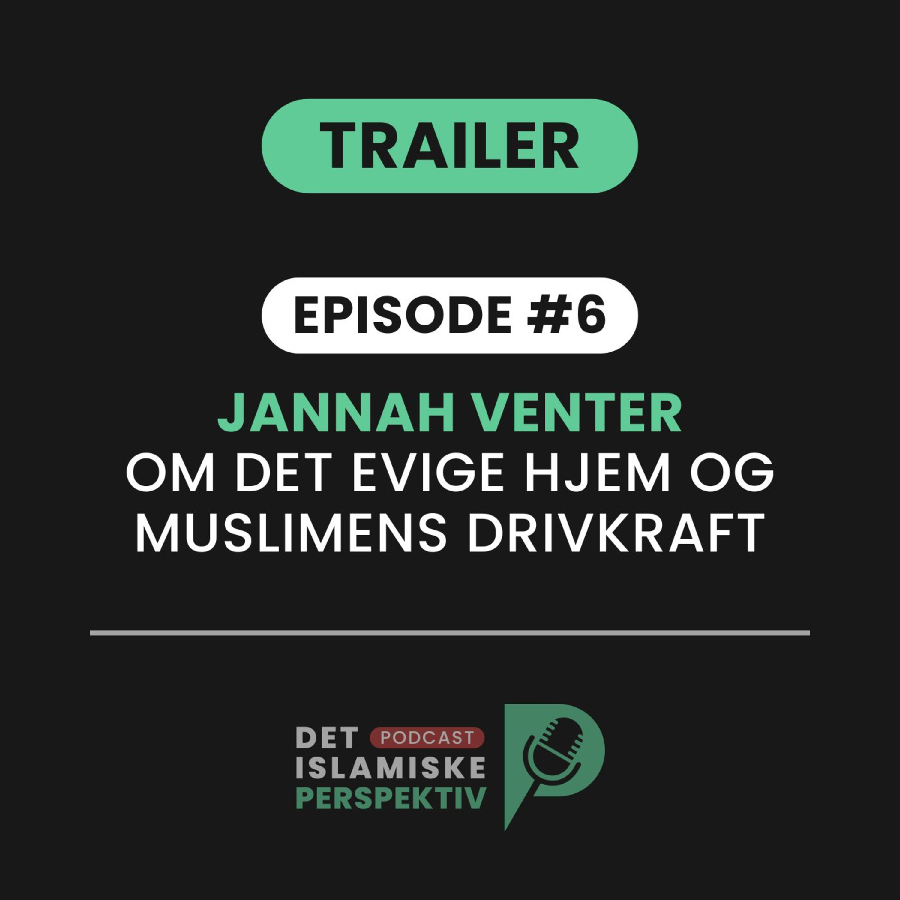 Det Islamiske Perspektiv