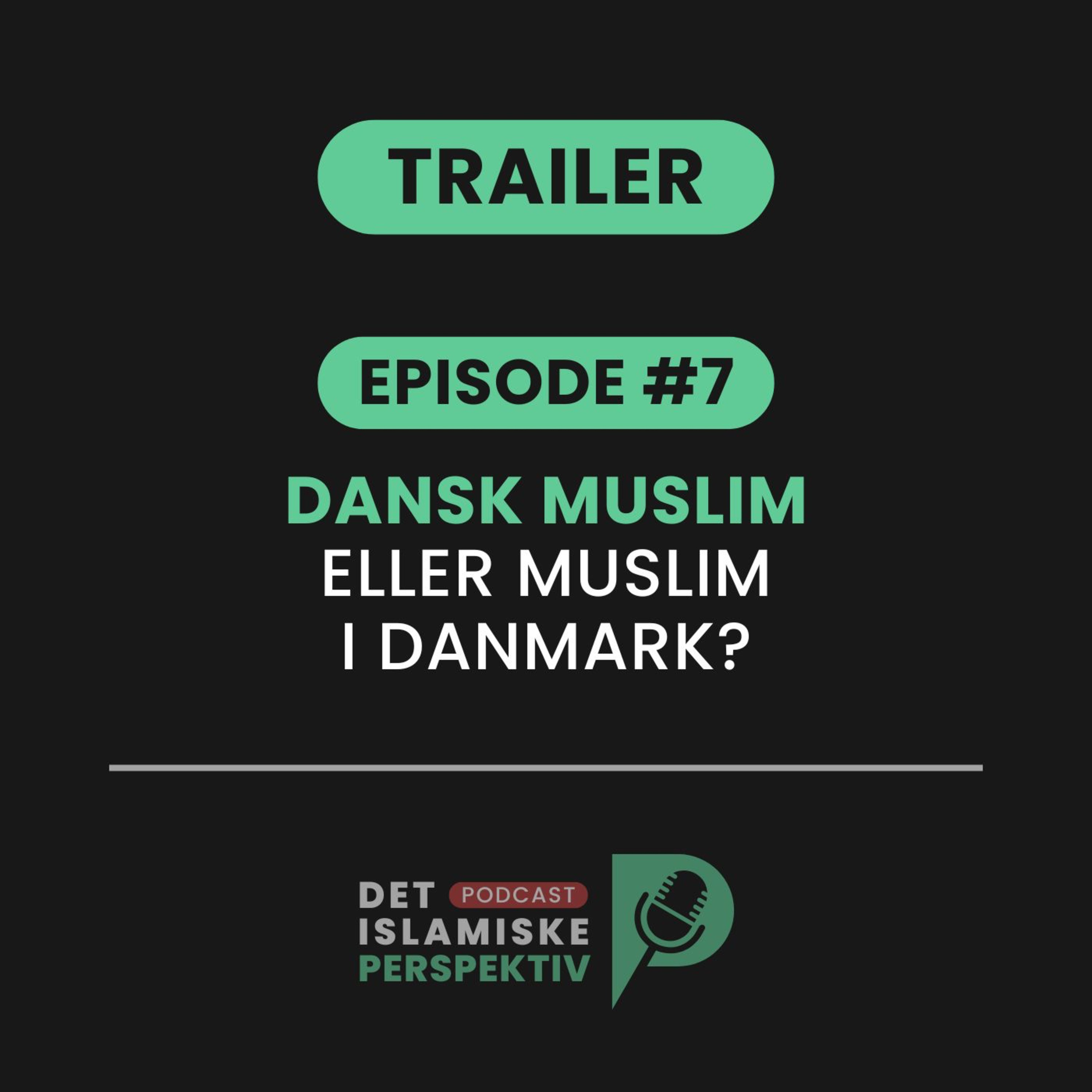 Det Islamiske Perspektiv
