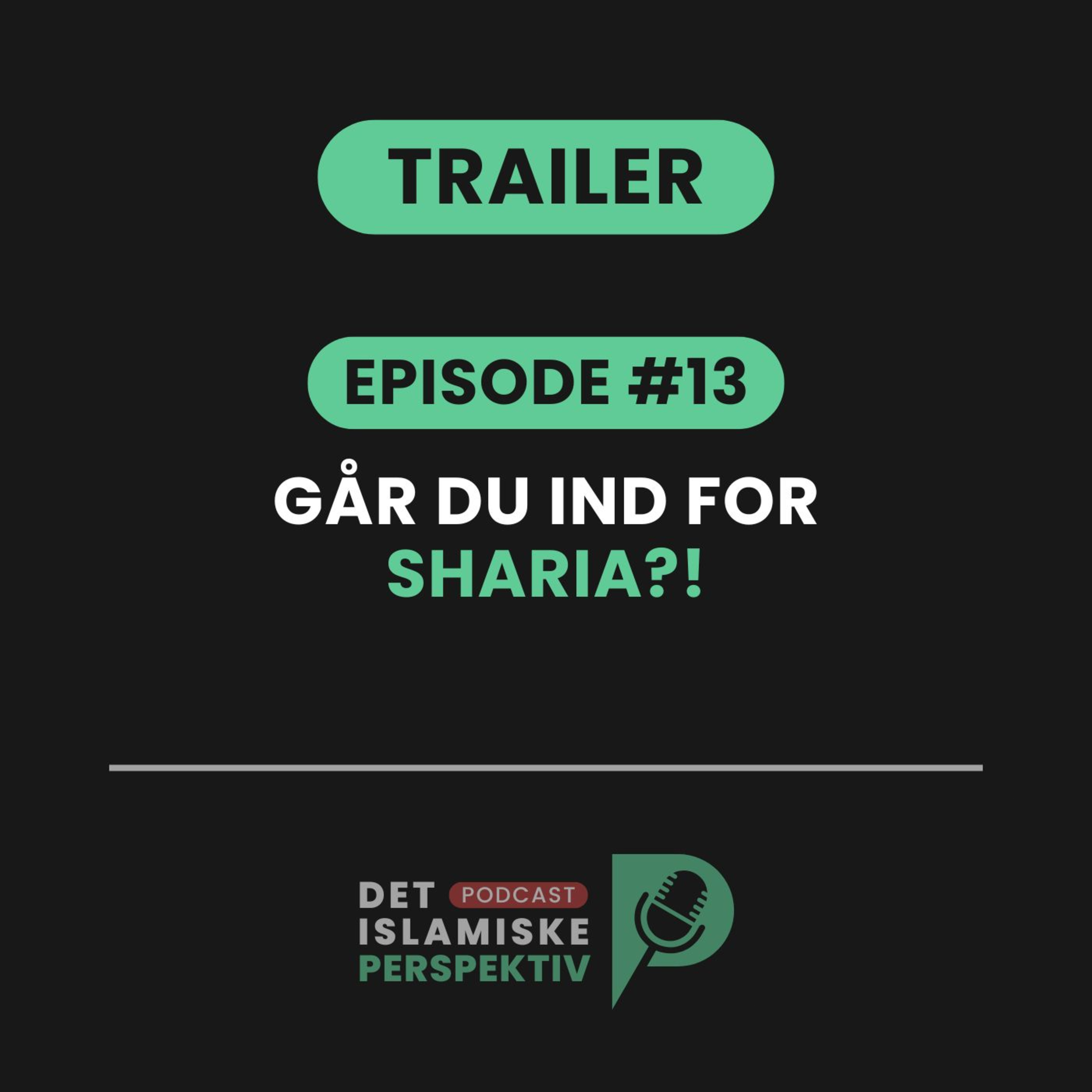 Det Islamiske Perspektiv