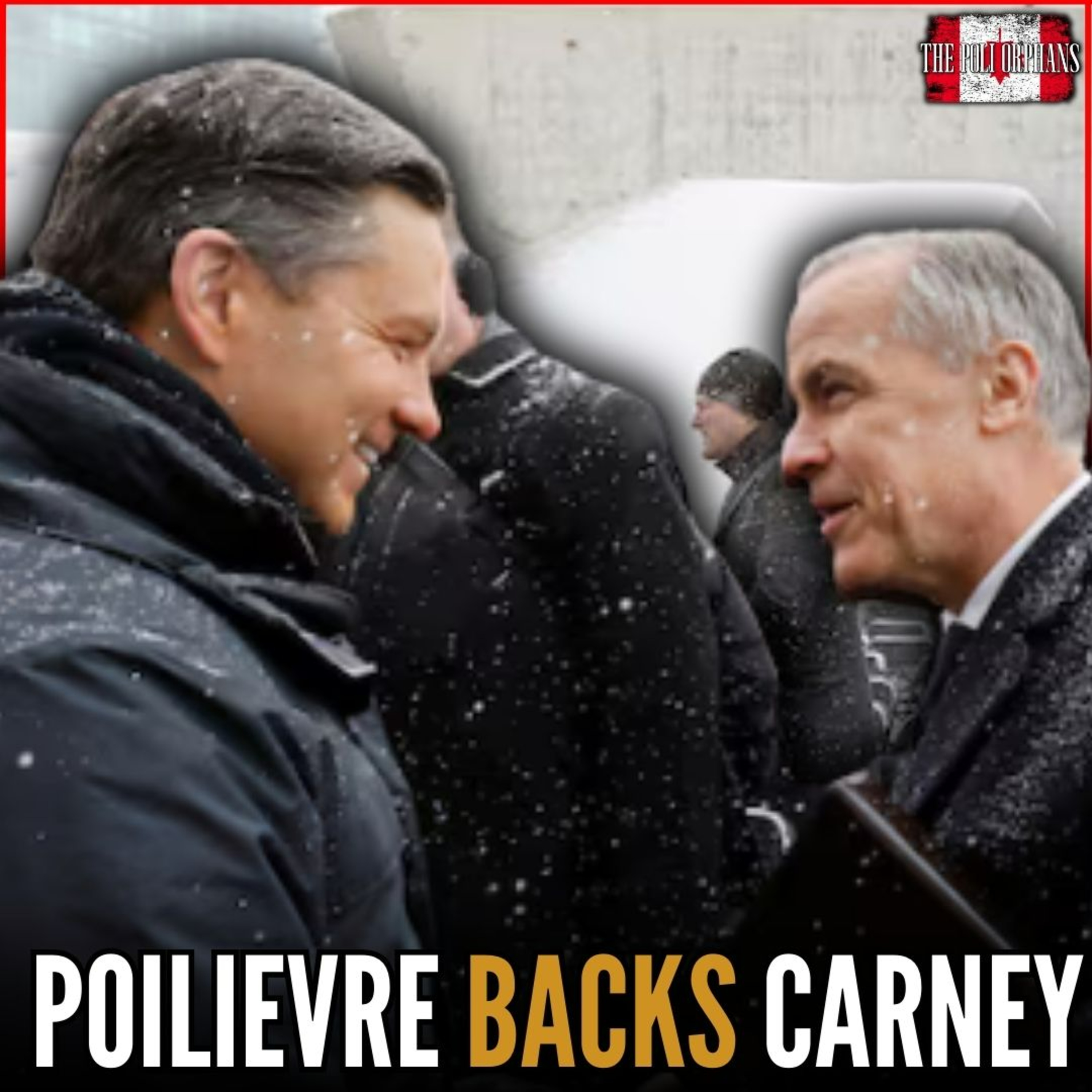 The Political Orphans