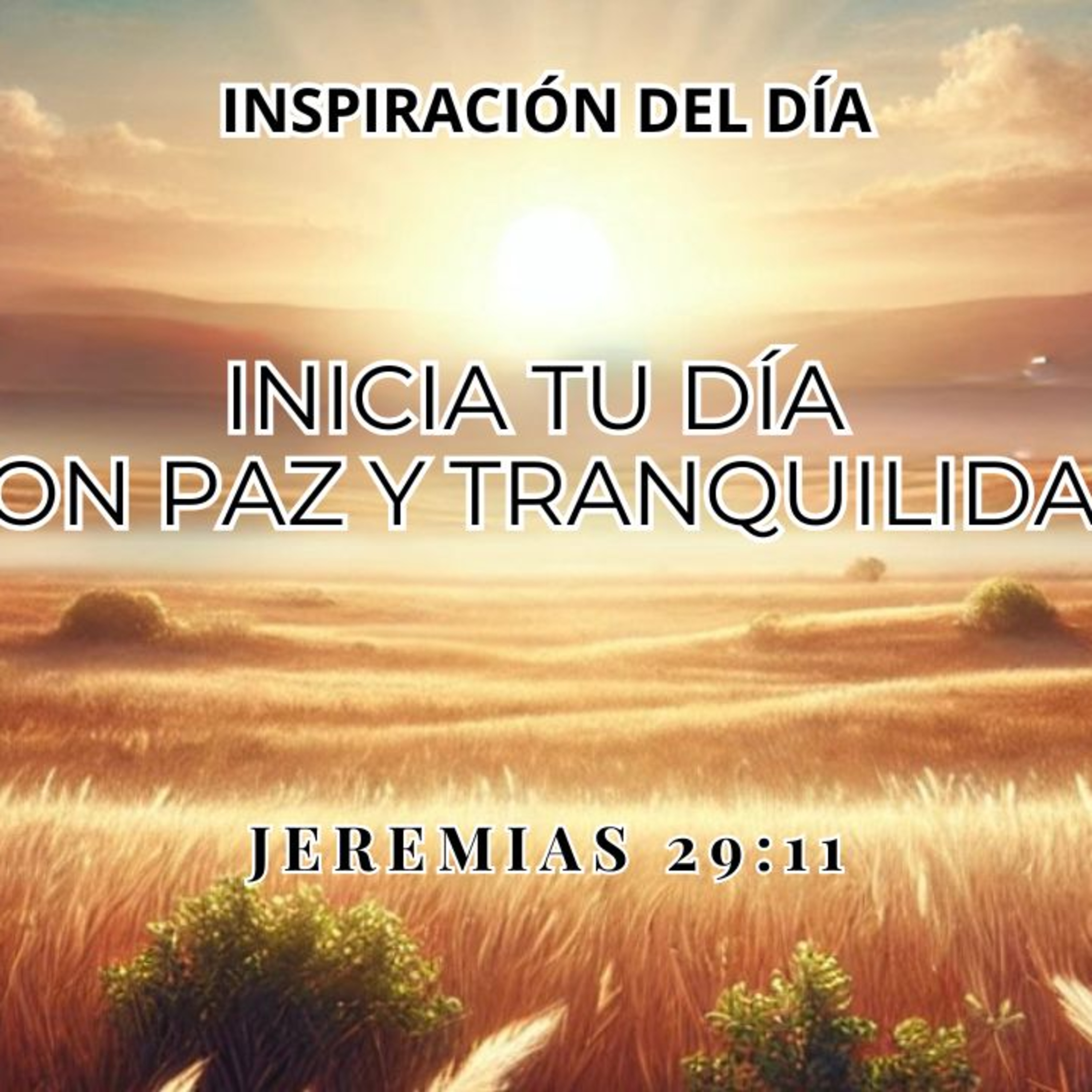 Dios Tiene un Plan para Ti – Reflexión de Propósito y Paz episode artwork