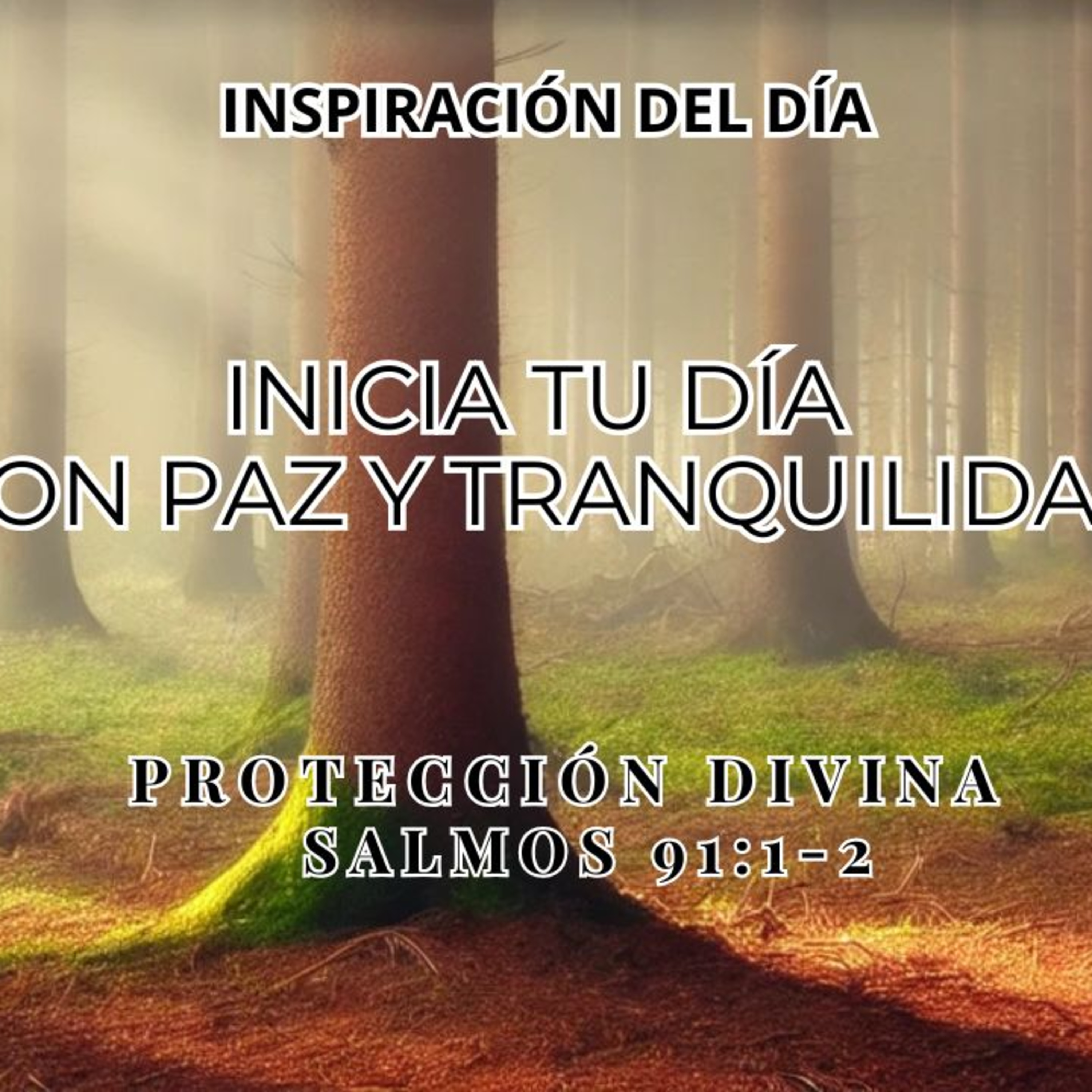 Refugio en Dios – Encuentra Seguridad en su Presencia episode artwork