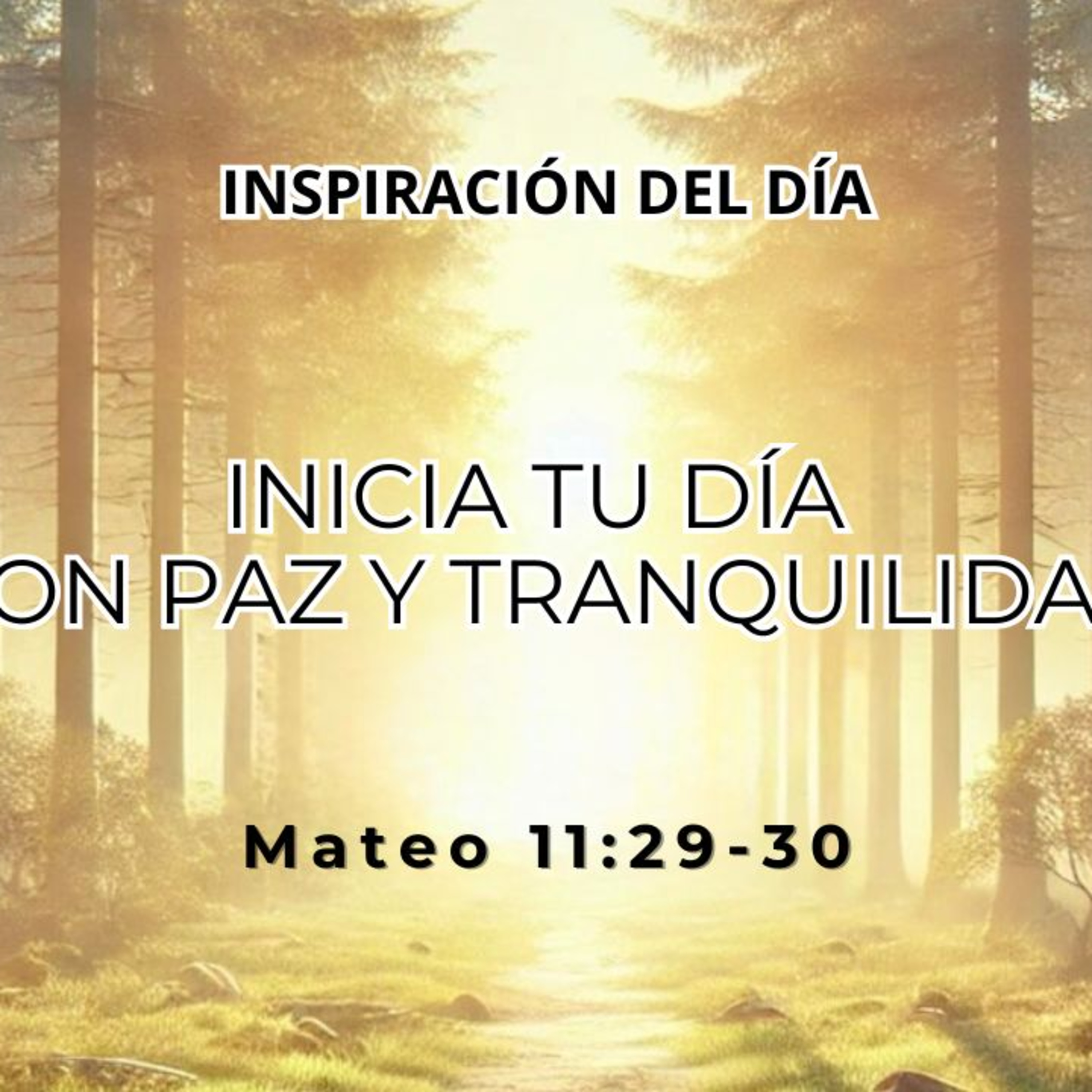 Encuentra Descanso en Jesús - Mateo 11:29-30 episode artwork
