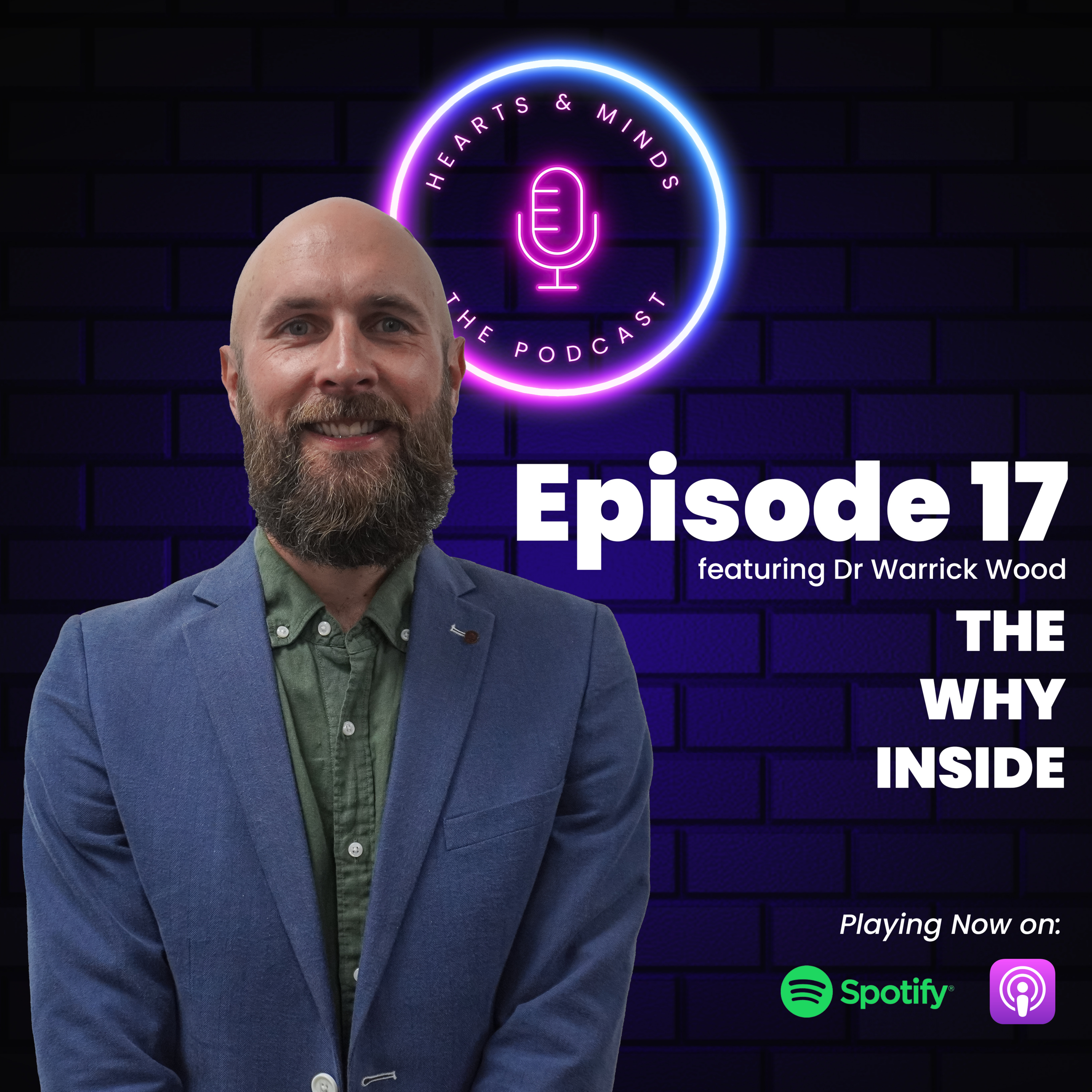 Episode 17 - The Why Inside episode artwork