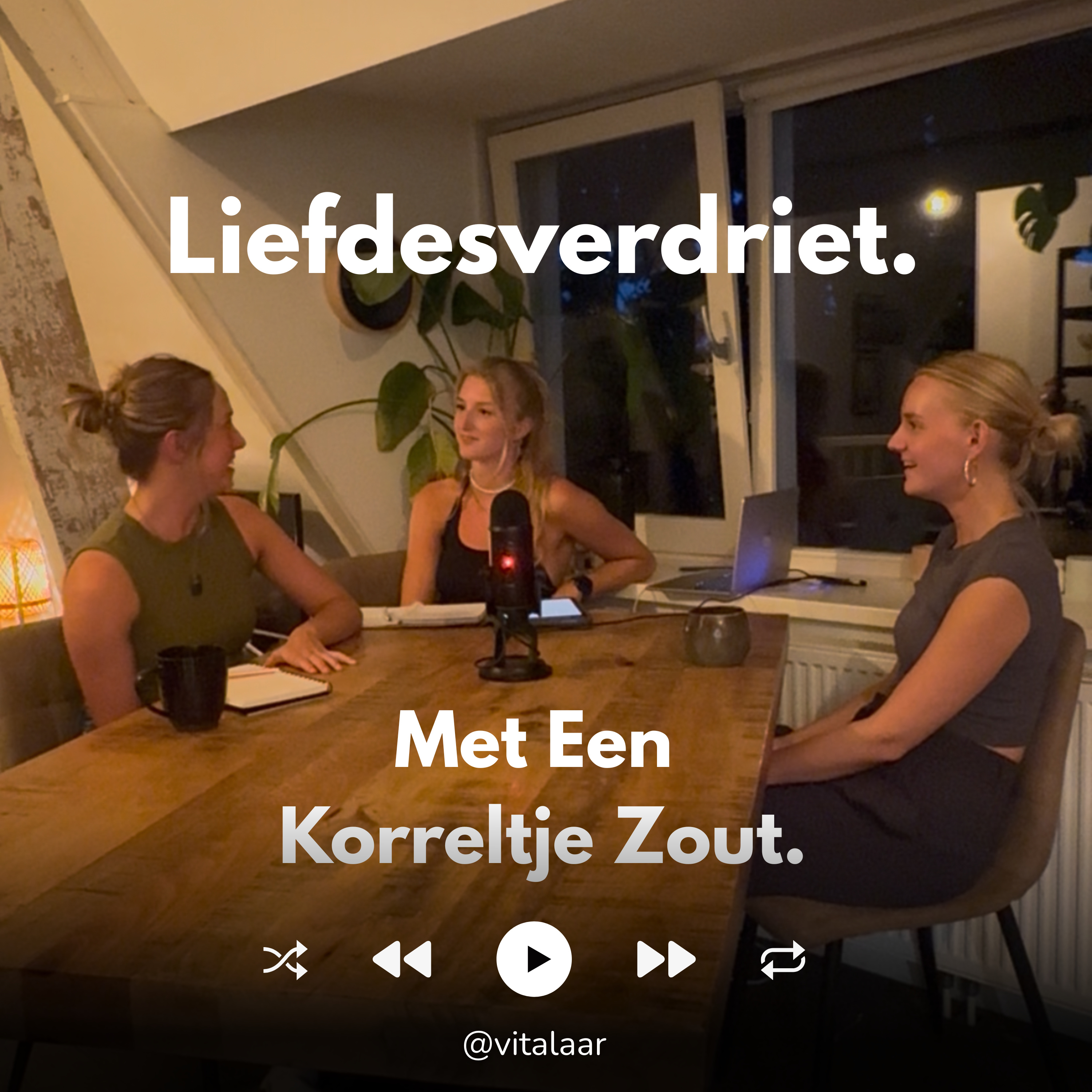 Een Korreltje Zout I Blunderend Door Het Leven I Minder Stress, Meer geluk