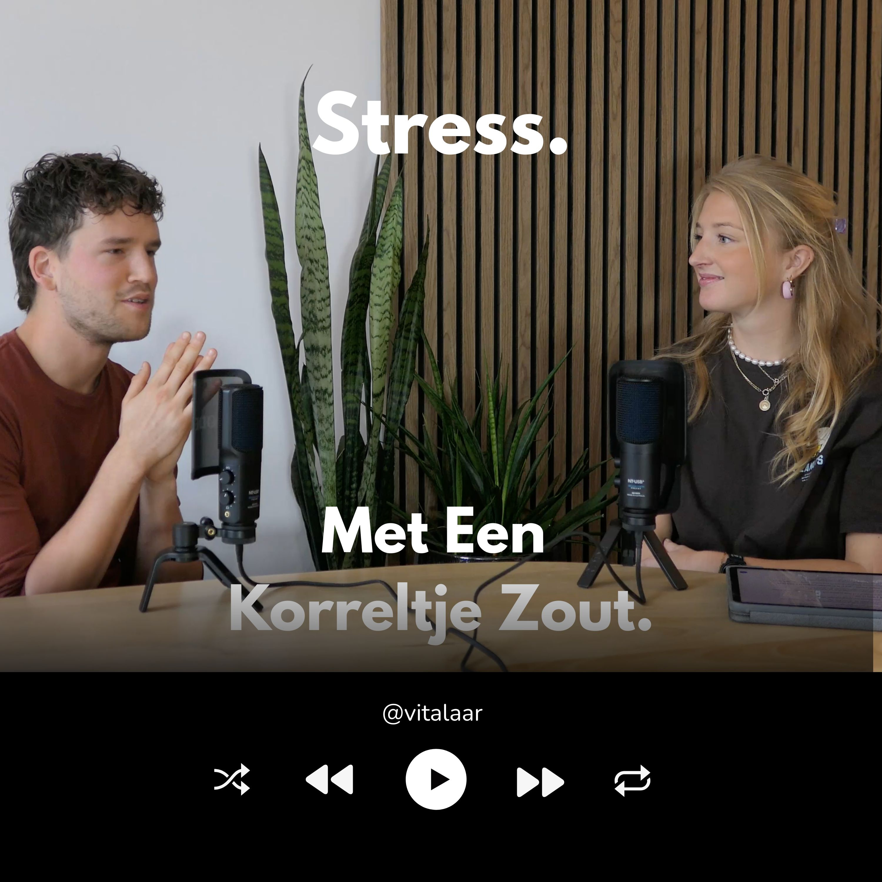 Een Korreltje Zout I Blunderend Door Het Leven I Minder Stress, Meer geluk