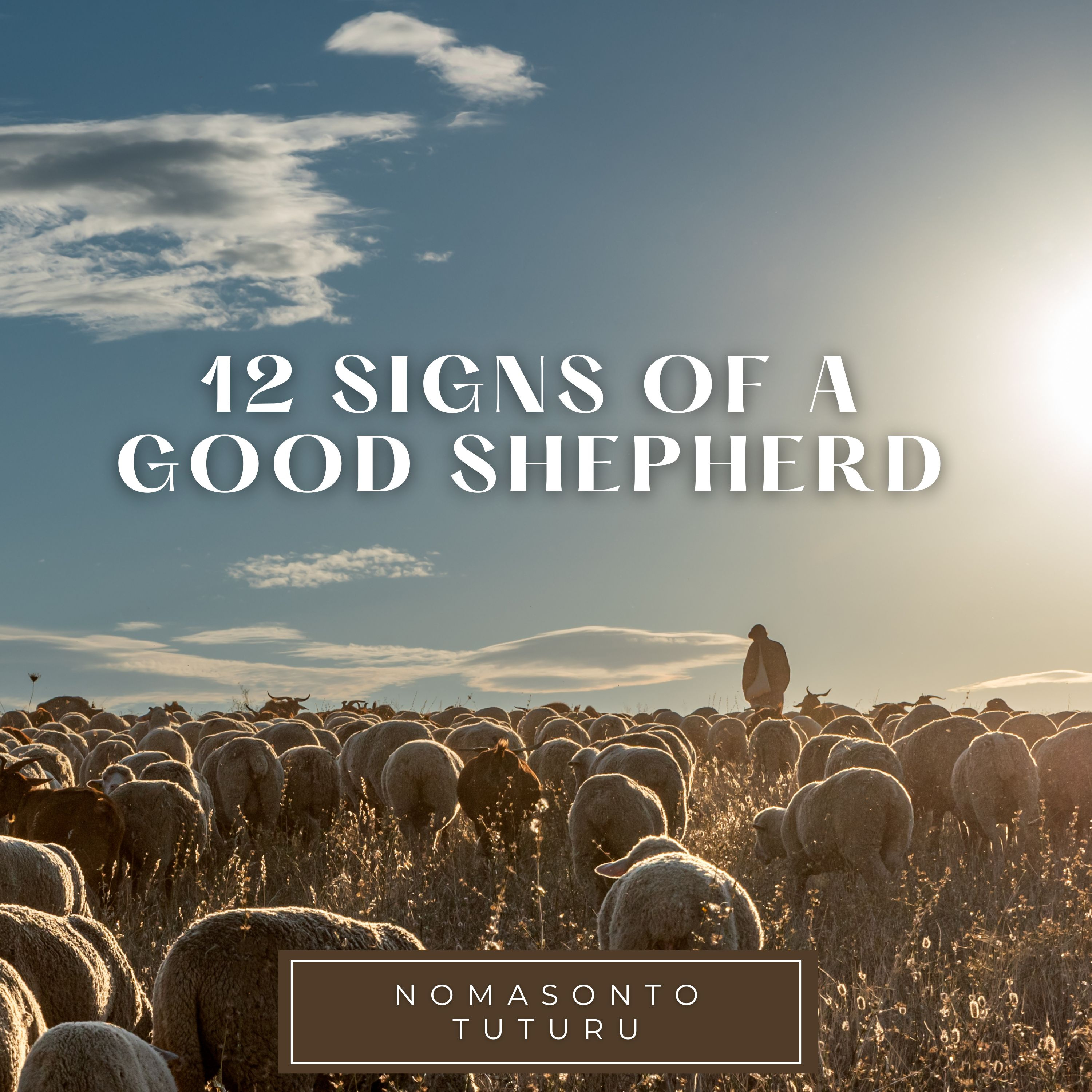 12 Signs of a Good Shepherd