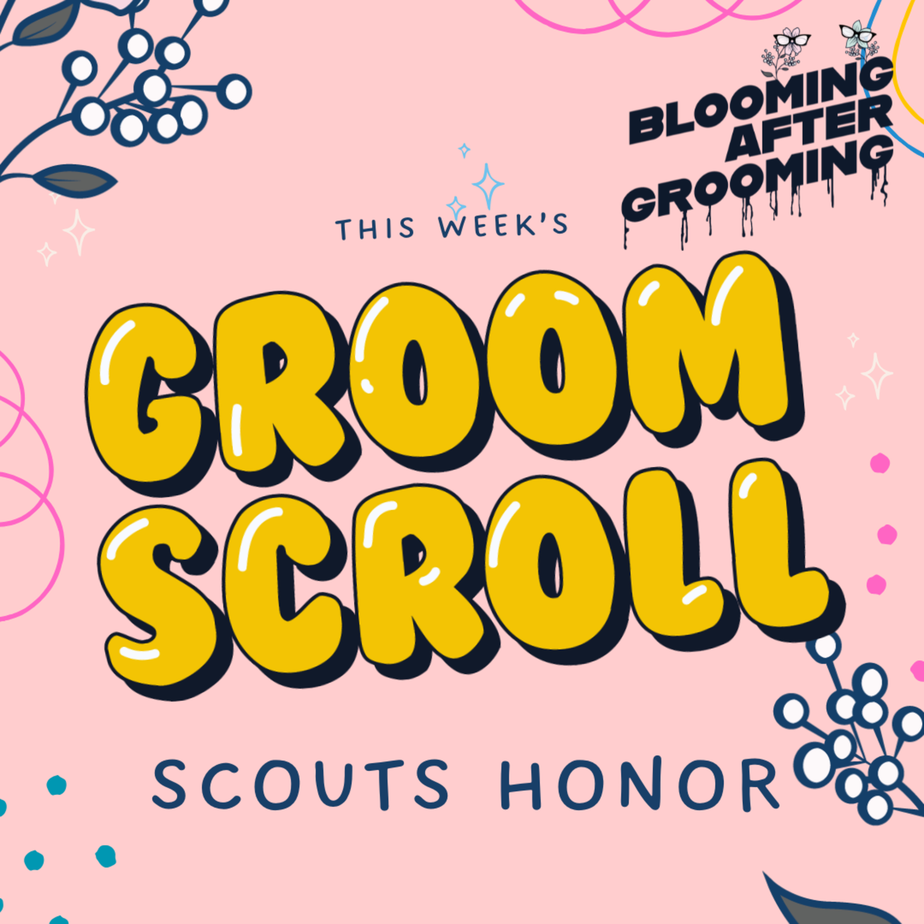 Groom Scroll- Scouts Honor: The Secret Files of the Boy Scouts of America episode artwork