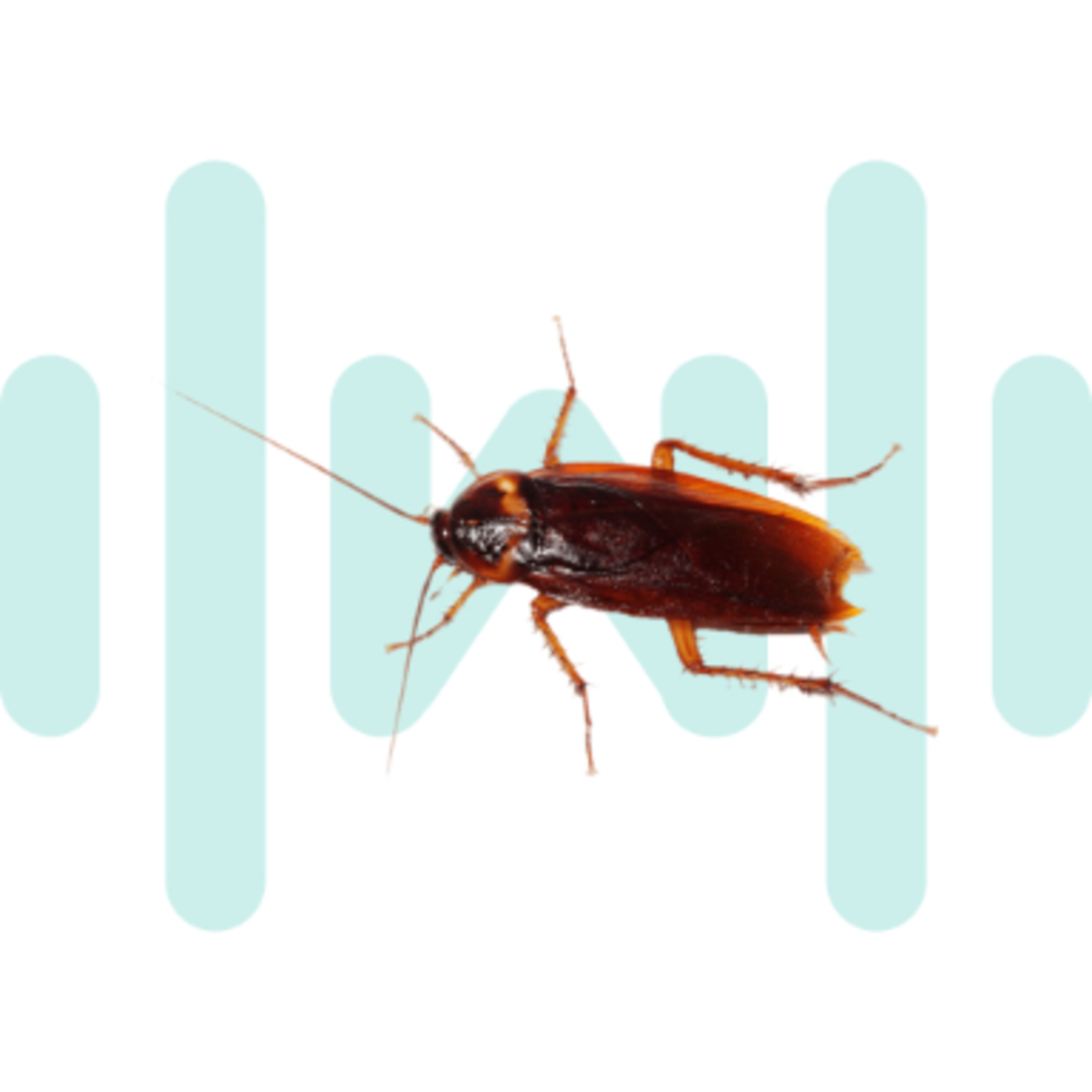 I Live With Roaches SoundBoard - SoundBoardW.com episode artwork