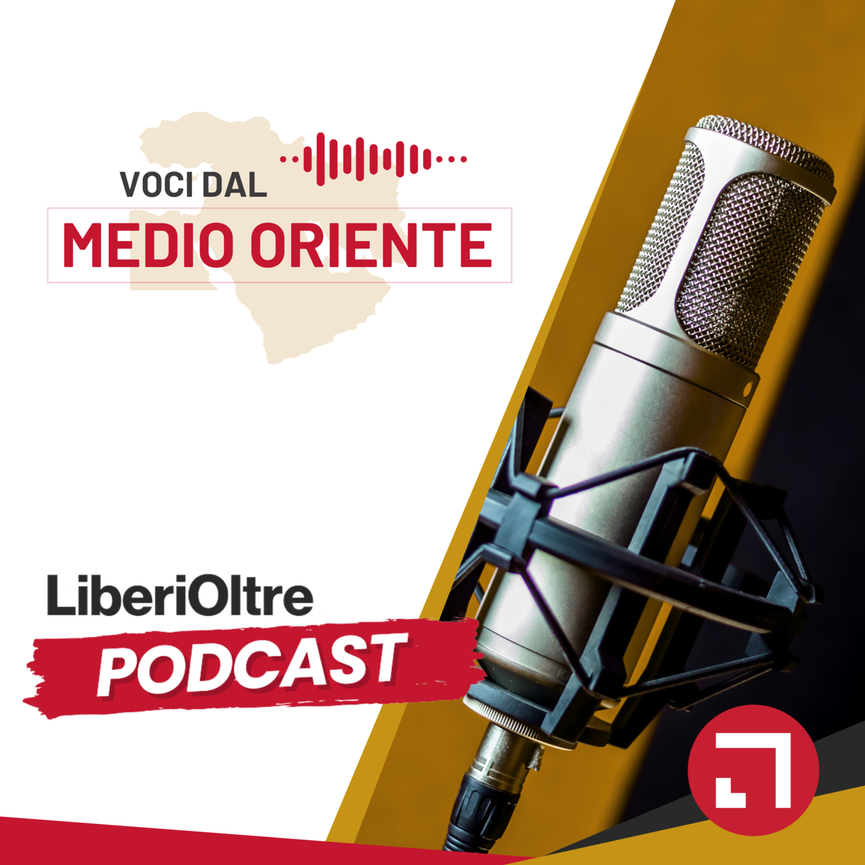 L'AUTODISTRUZIONE DI ISRAELE - con ANNA FOA ¦ Voci dal Medio Oriente EP6 episode artwork