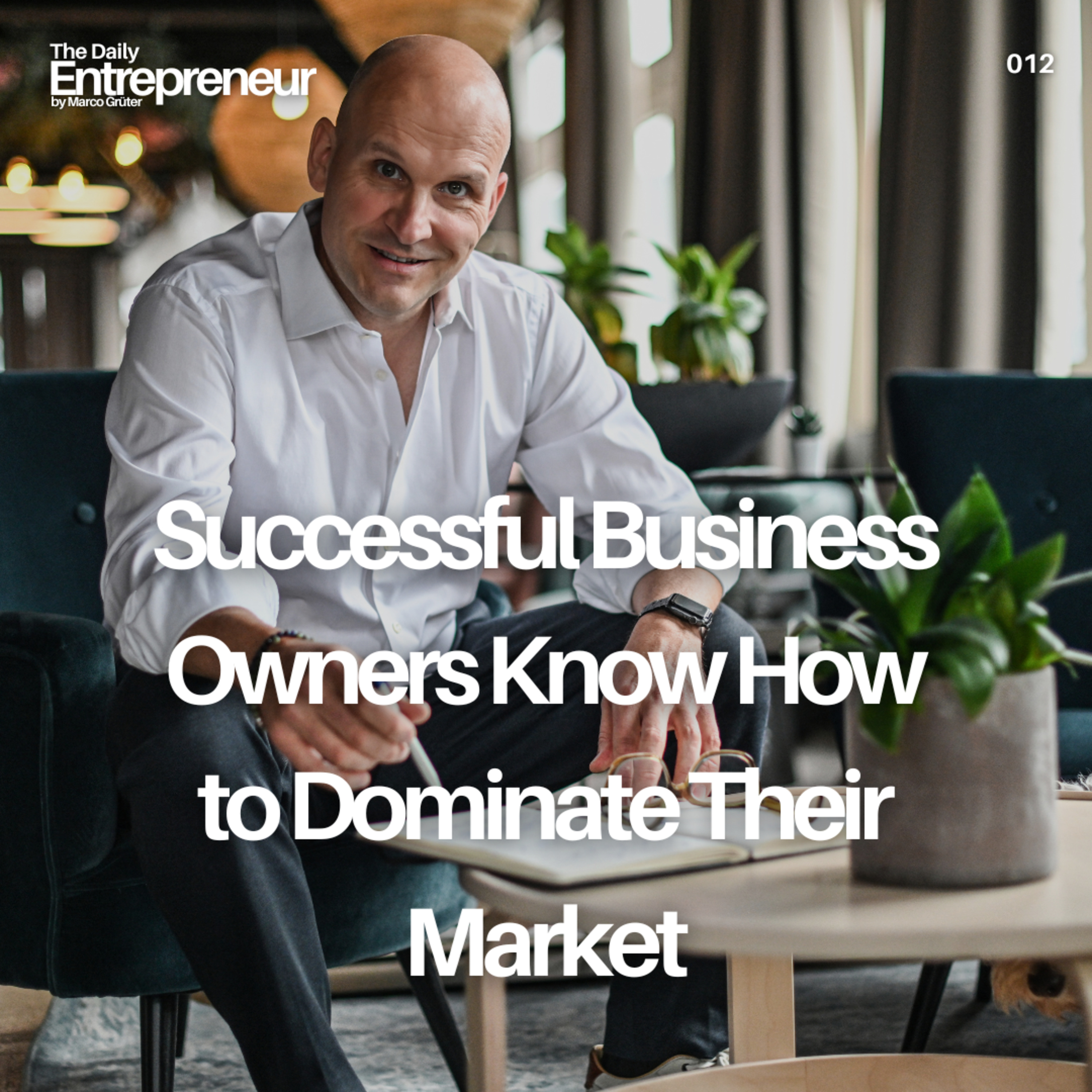 12 - Successful Business Owners Know How to Dominate Their Market episode artwork