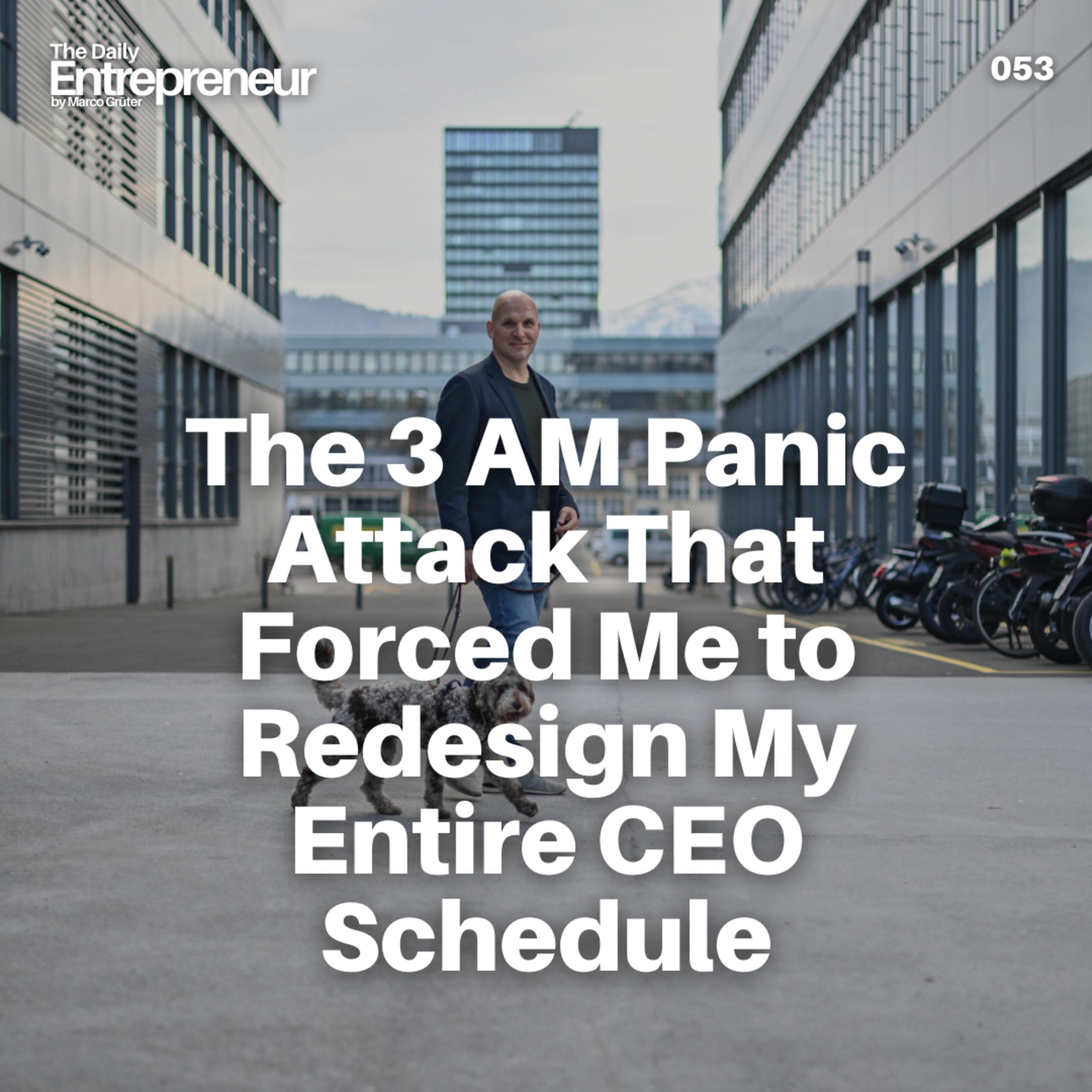 53 - The 3 AM Panic Attack That Forced Me to Redesign My Entire CEO Schedule episode artwork