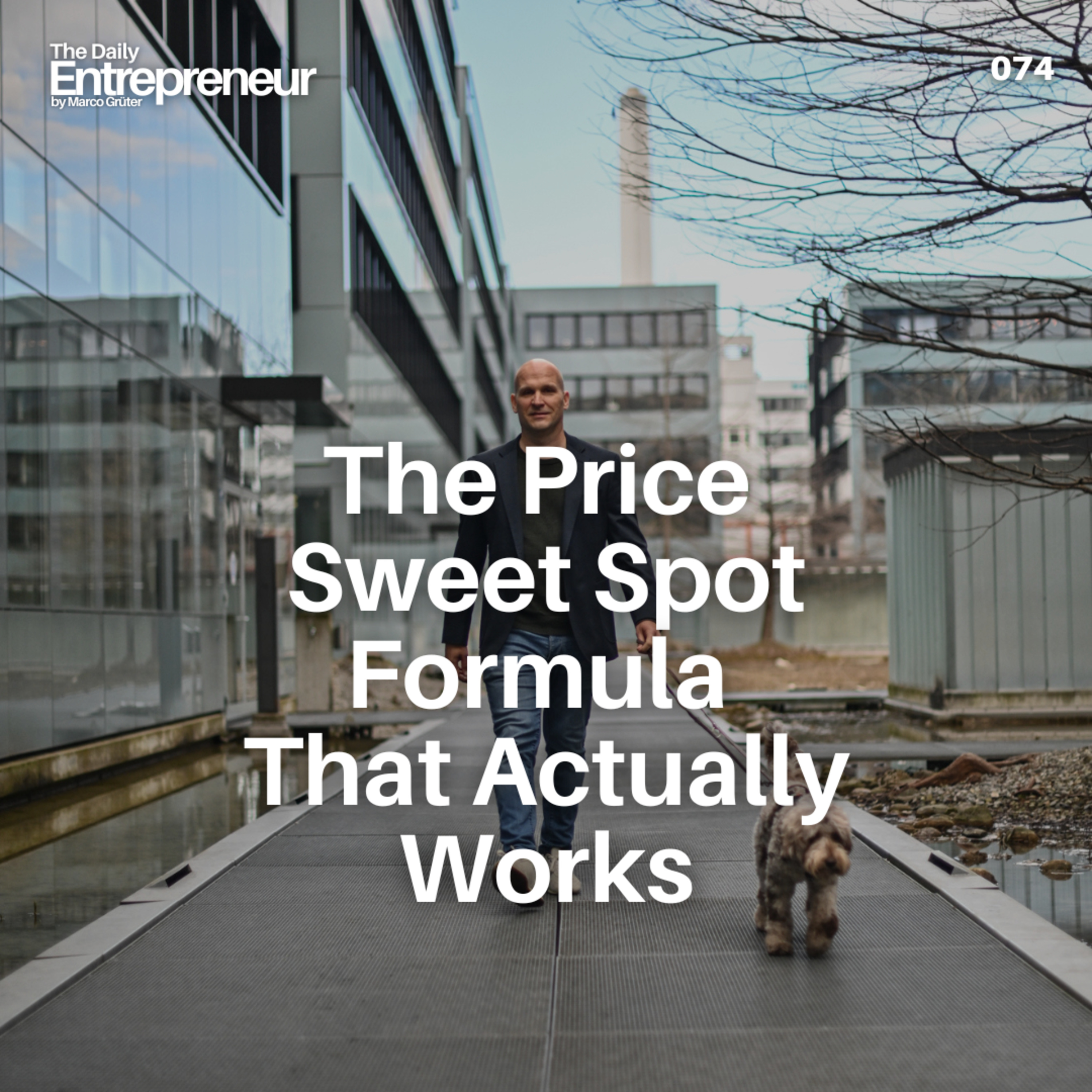 74 - The Price Sweet Spot Formula That Actually Works episode artwork