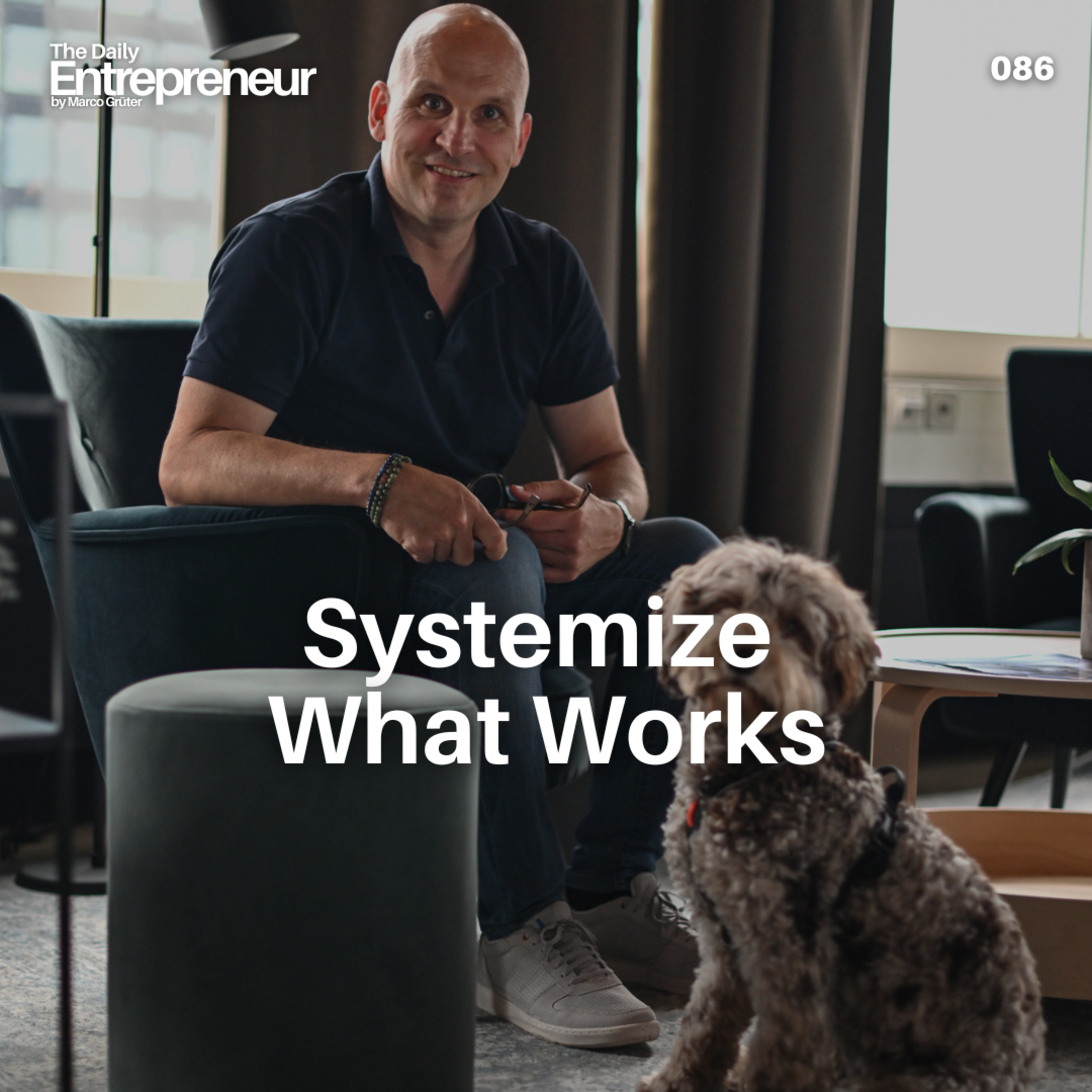 86 - Systemize What Works episode artwork