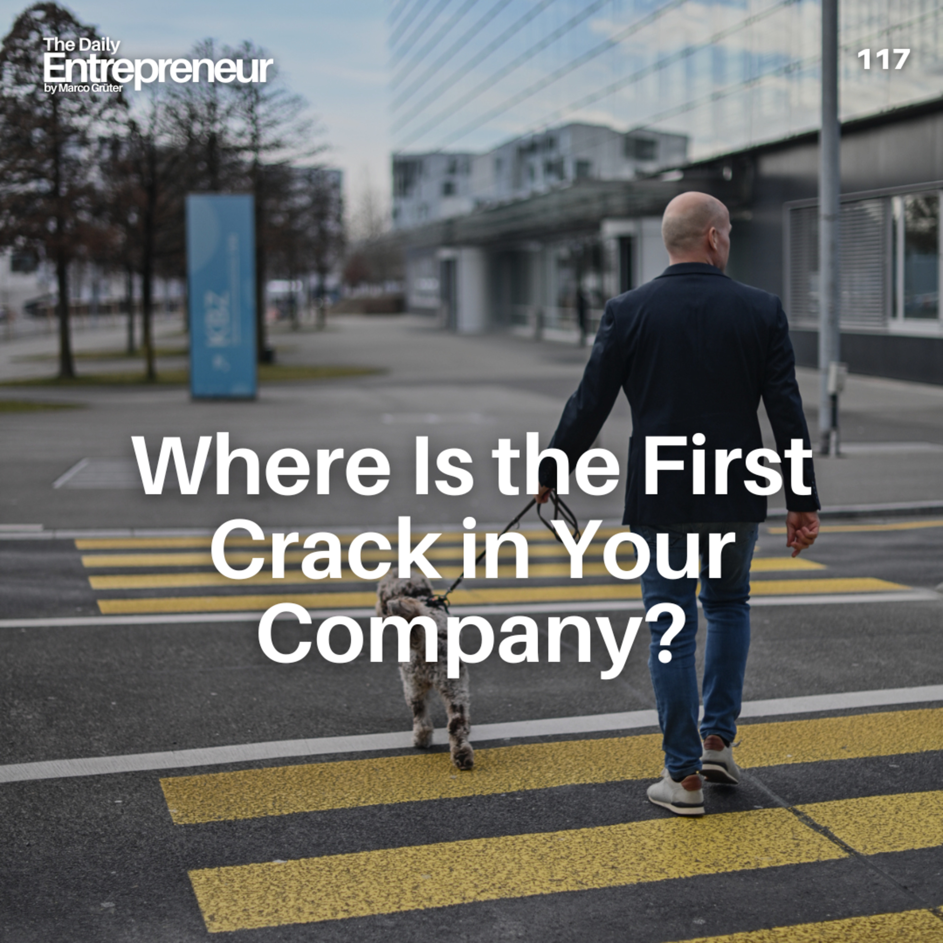 117 - Where’s the First Crack in Your Company? episode artwork