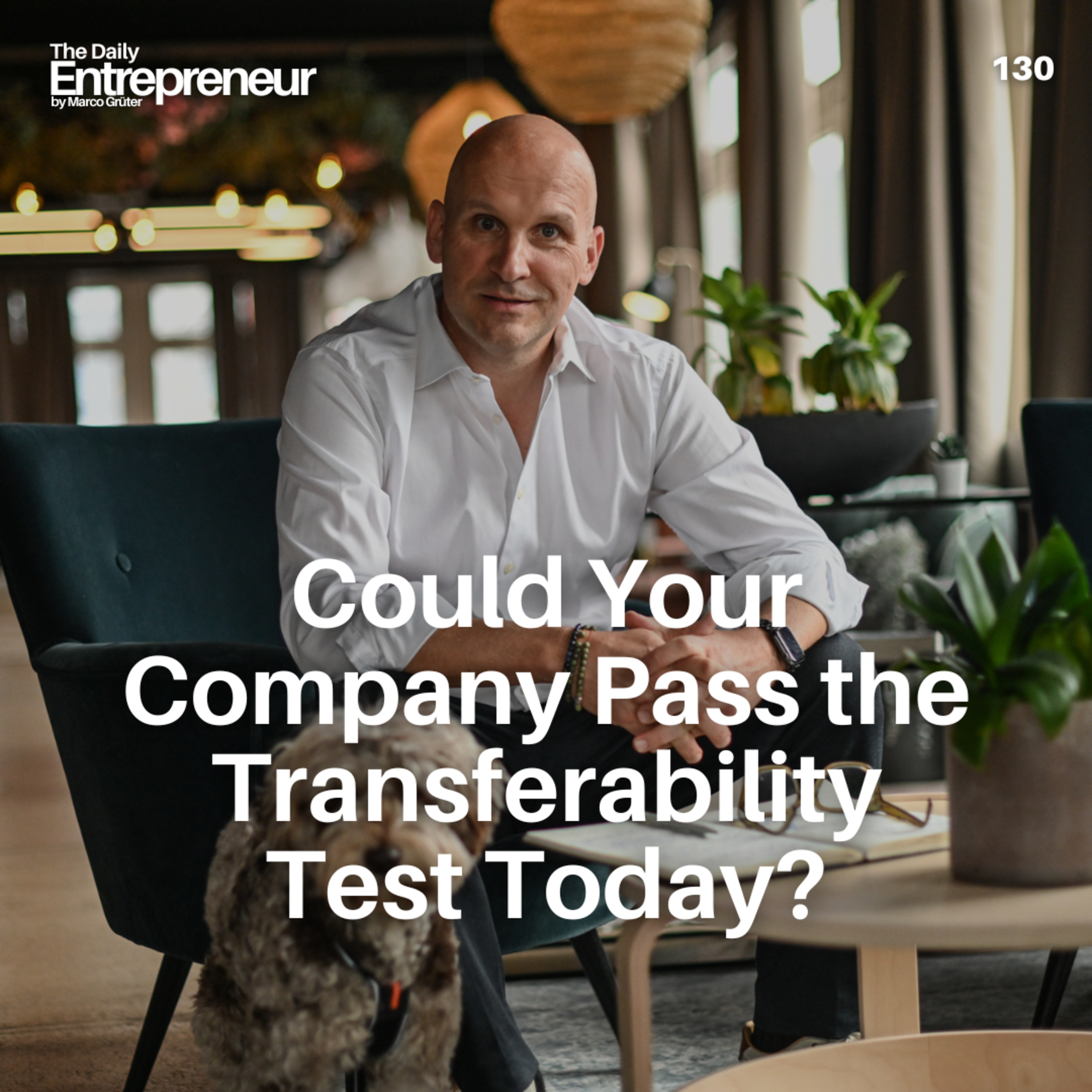 130 - Could Your Company Pass the Transferability Test Today? episode artwork