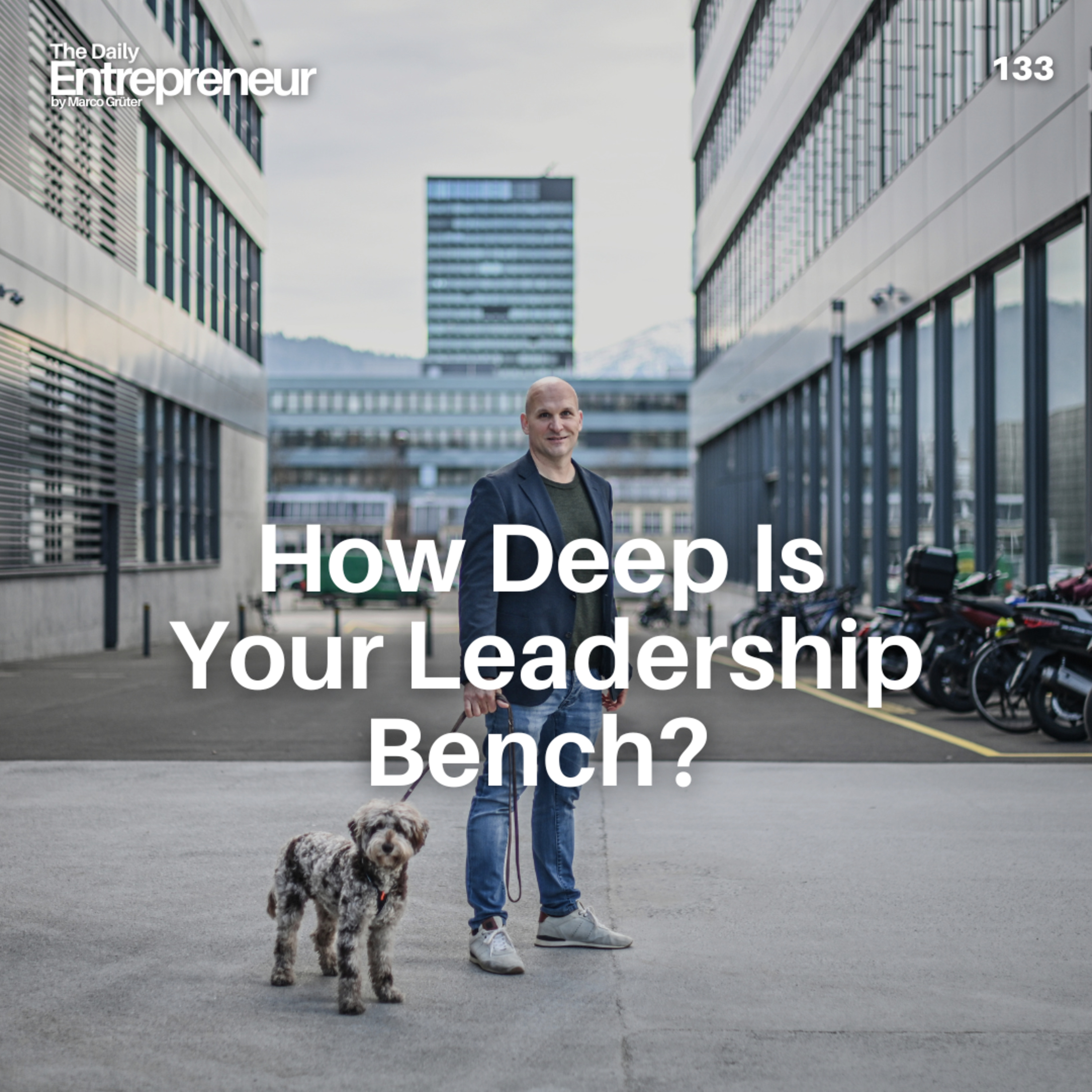 133 -  How Deep Is Your Leadership Bench?  episode artwork
