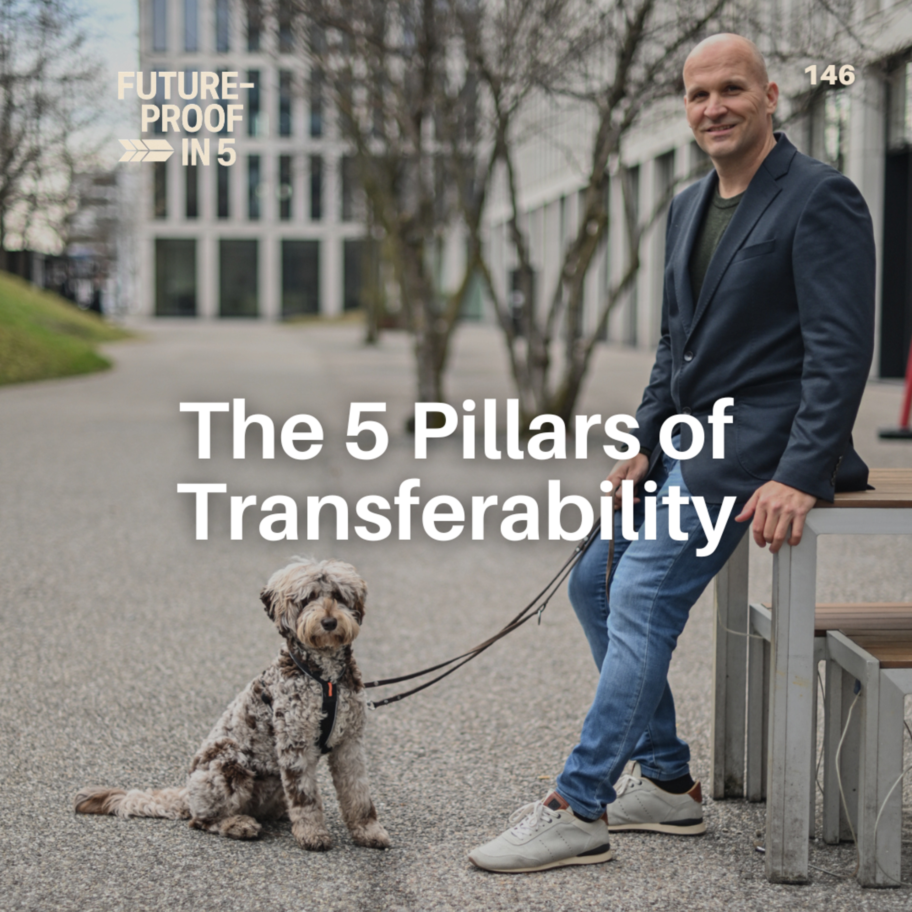 146 - The 5 Pillars of Transferability