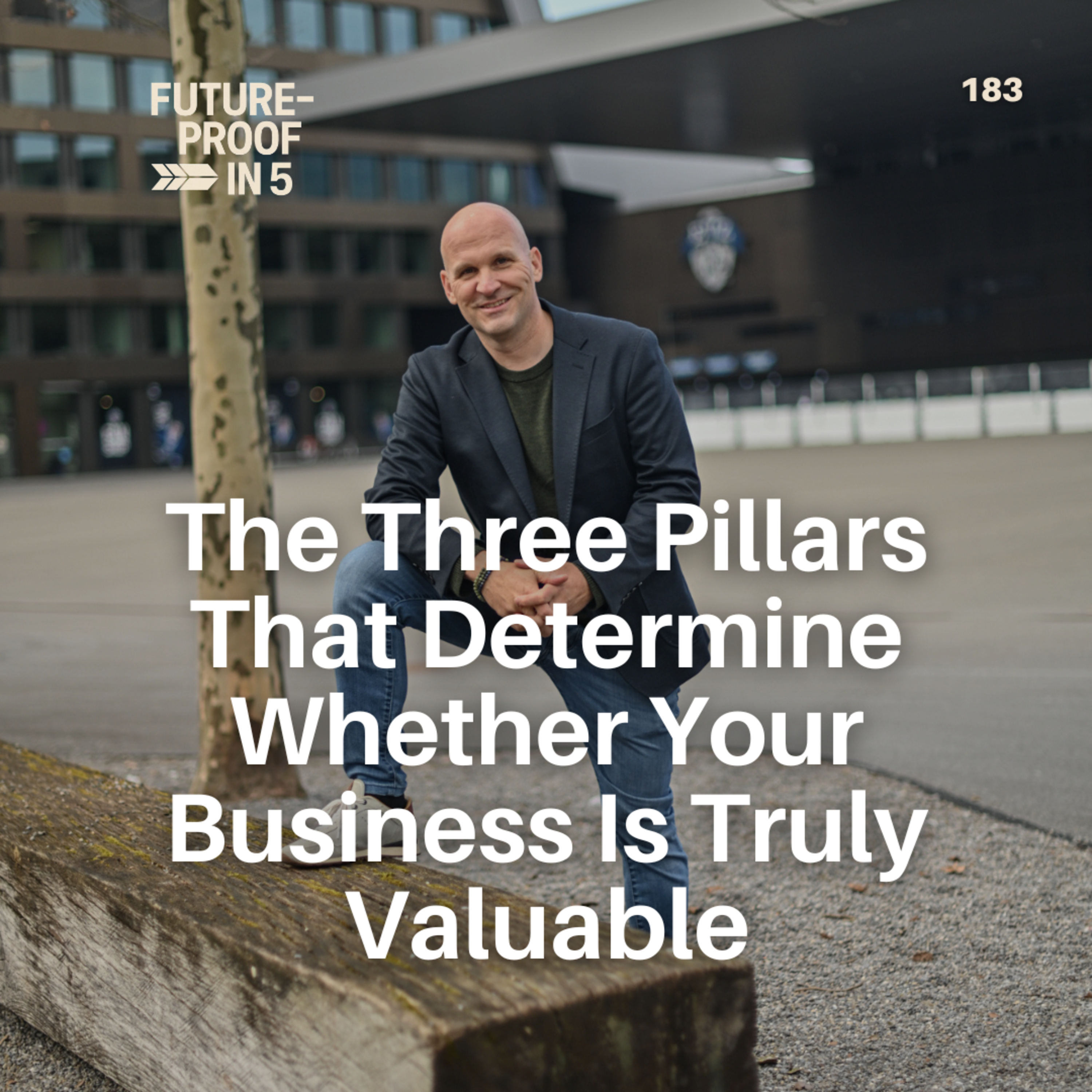 183 - The Three Pillars That Determine Whether Your Business Is Truly Valuable episode artwork