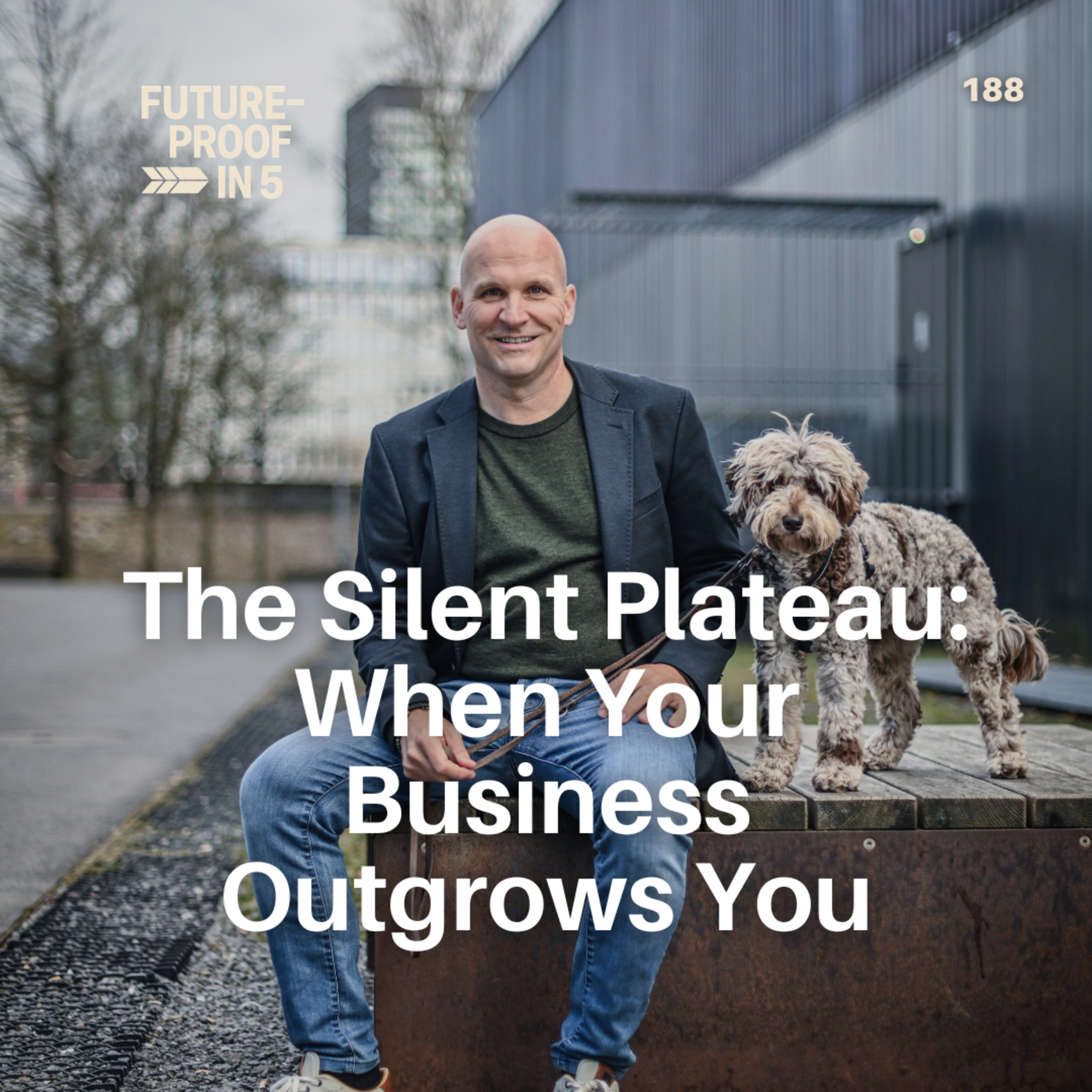 188 - The Silent Plateau: When Your Business Outgrows You episode artwork