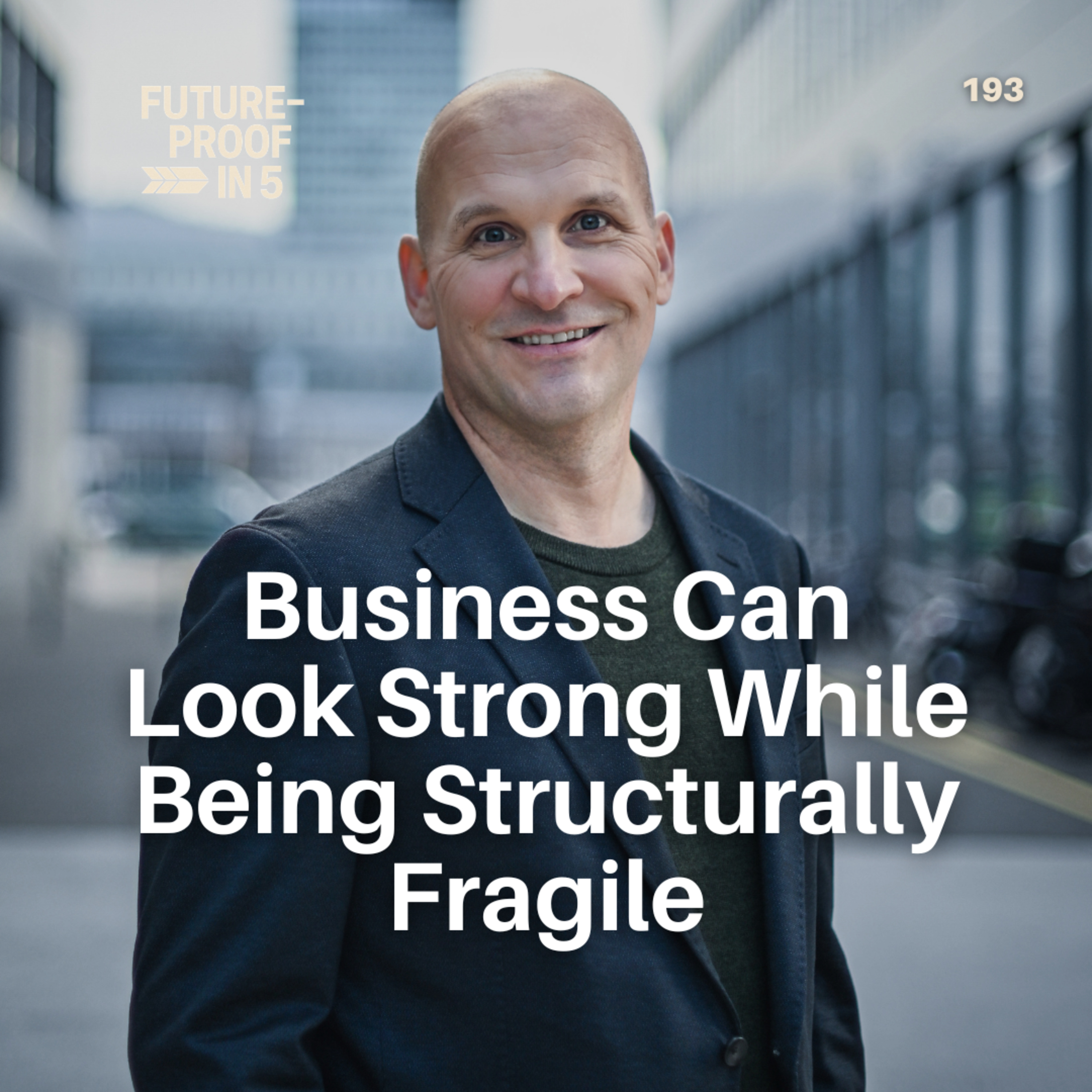 193 - Business Can Look Strong While Being Structurally Fragile episode artwork