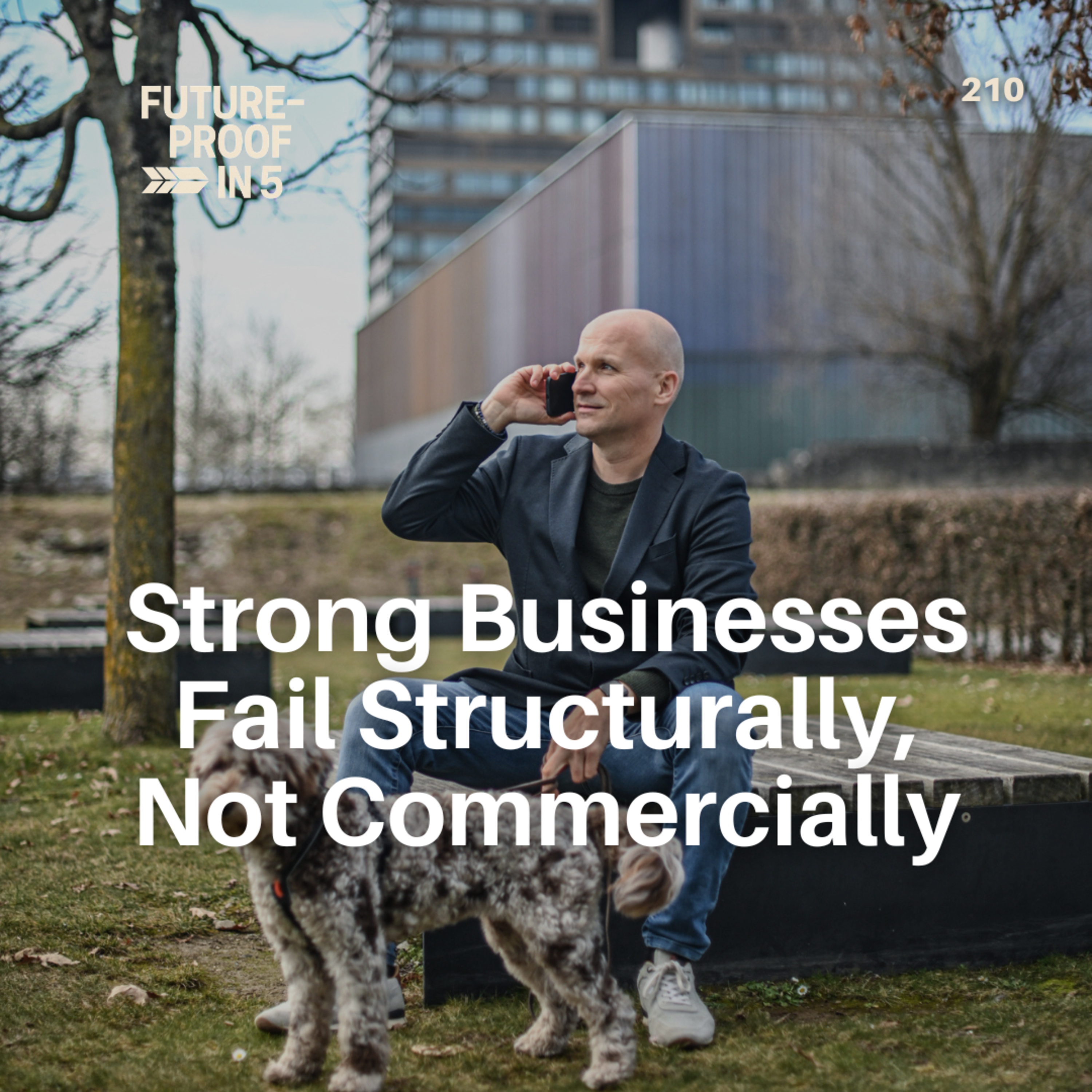210 - Strong Businesses Fail Structurally, Not Commercially episode artwork
