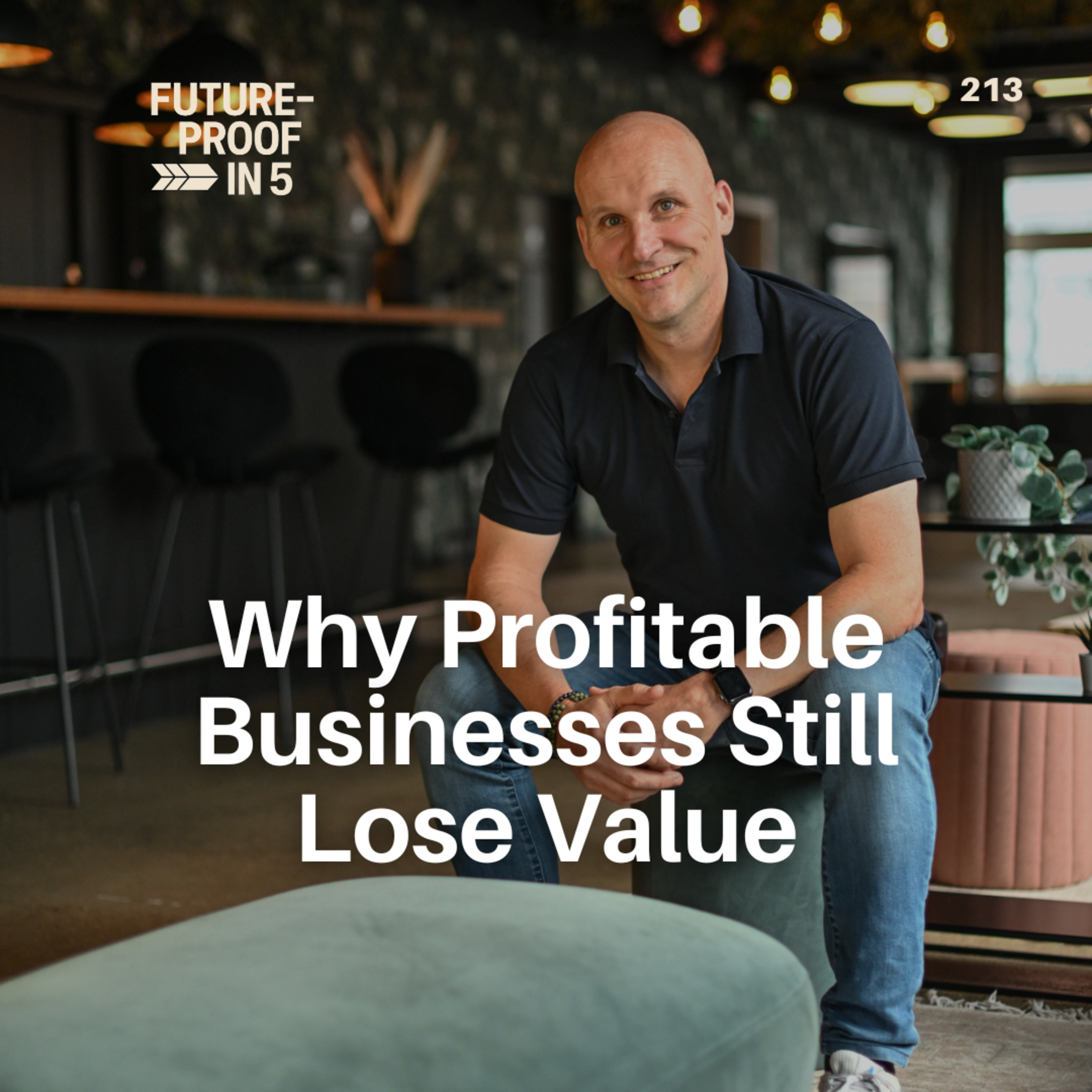 213 - Why Profitable Businesses Still Lose Value episode artwork