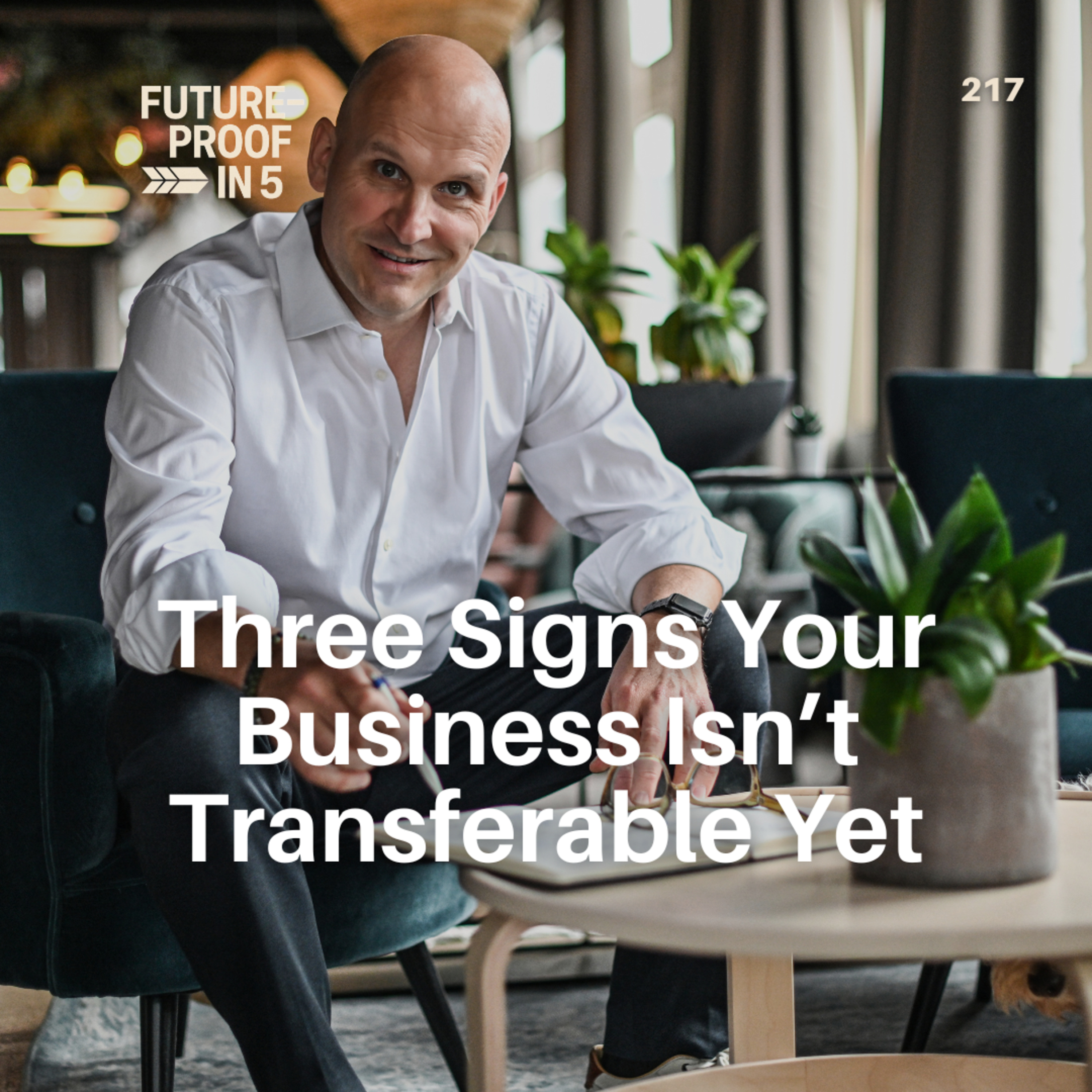 217 - Three Signs Your Business Isn’t Transferable Yet episode artwork