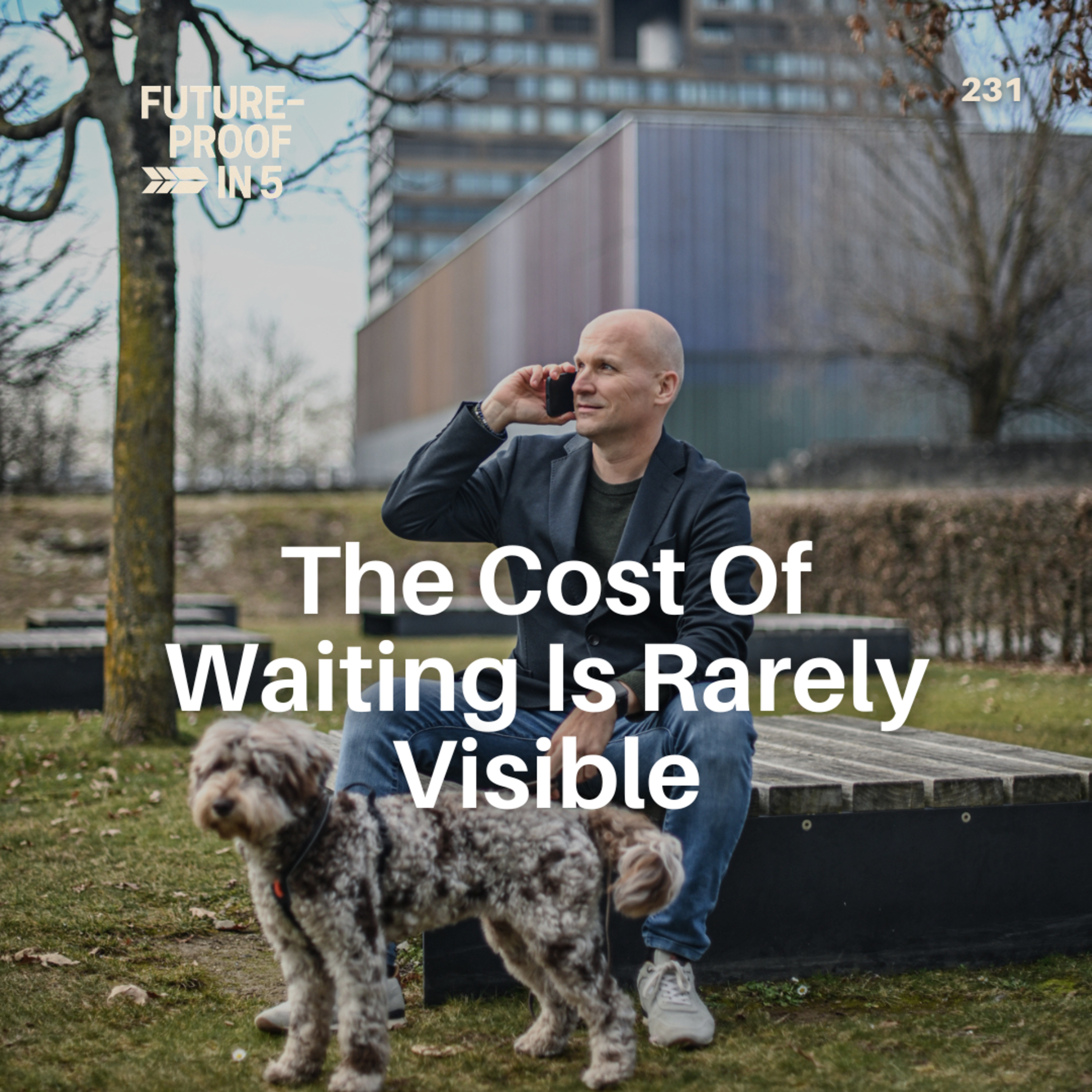 231 - The Cost Of Waiting Is Rarely Visible episode artwork