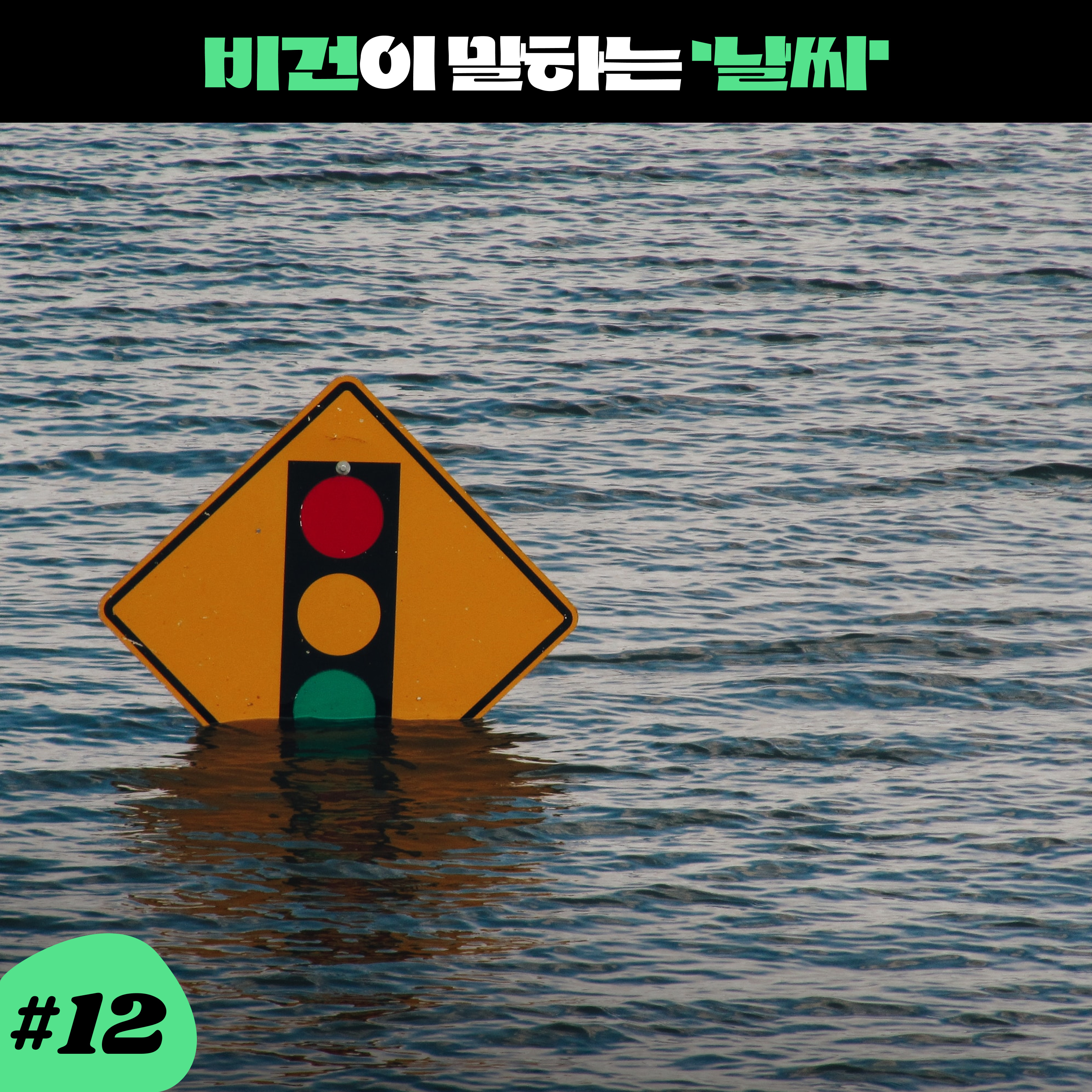 ep12. 날씨가 심상치 않아서 비건은 걱정이 많아... episode artwork