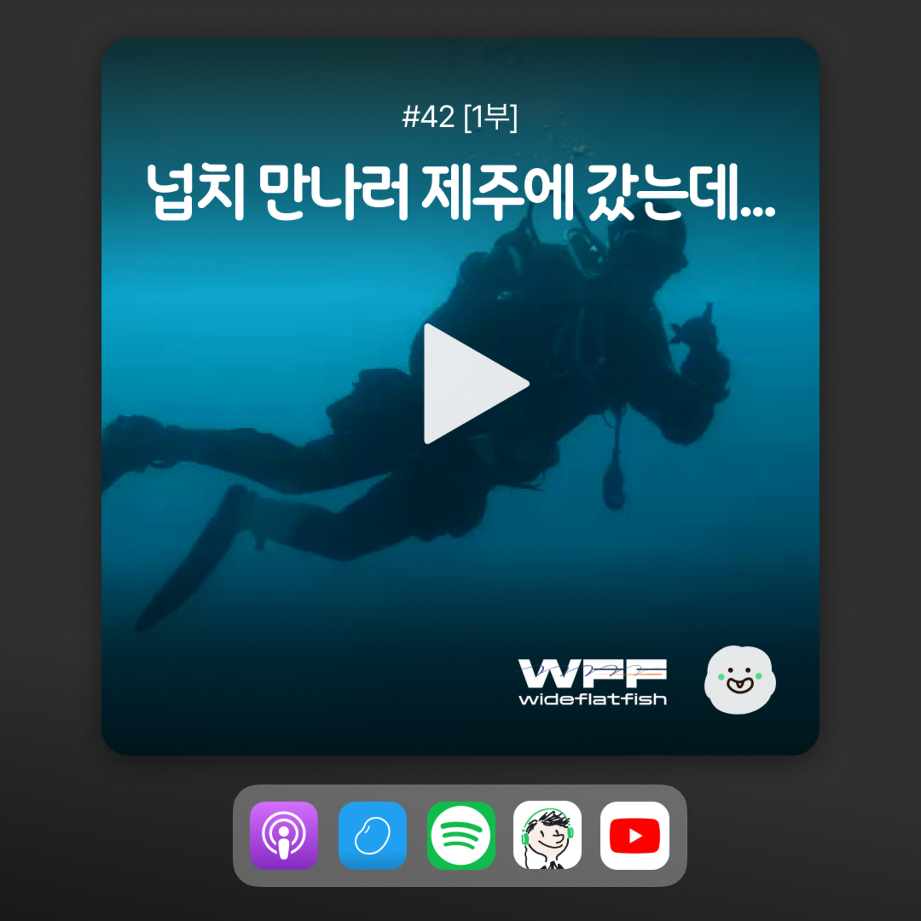 ep42[1부] 넓적한 넙치, 널 만나러가 episode artwork