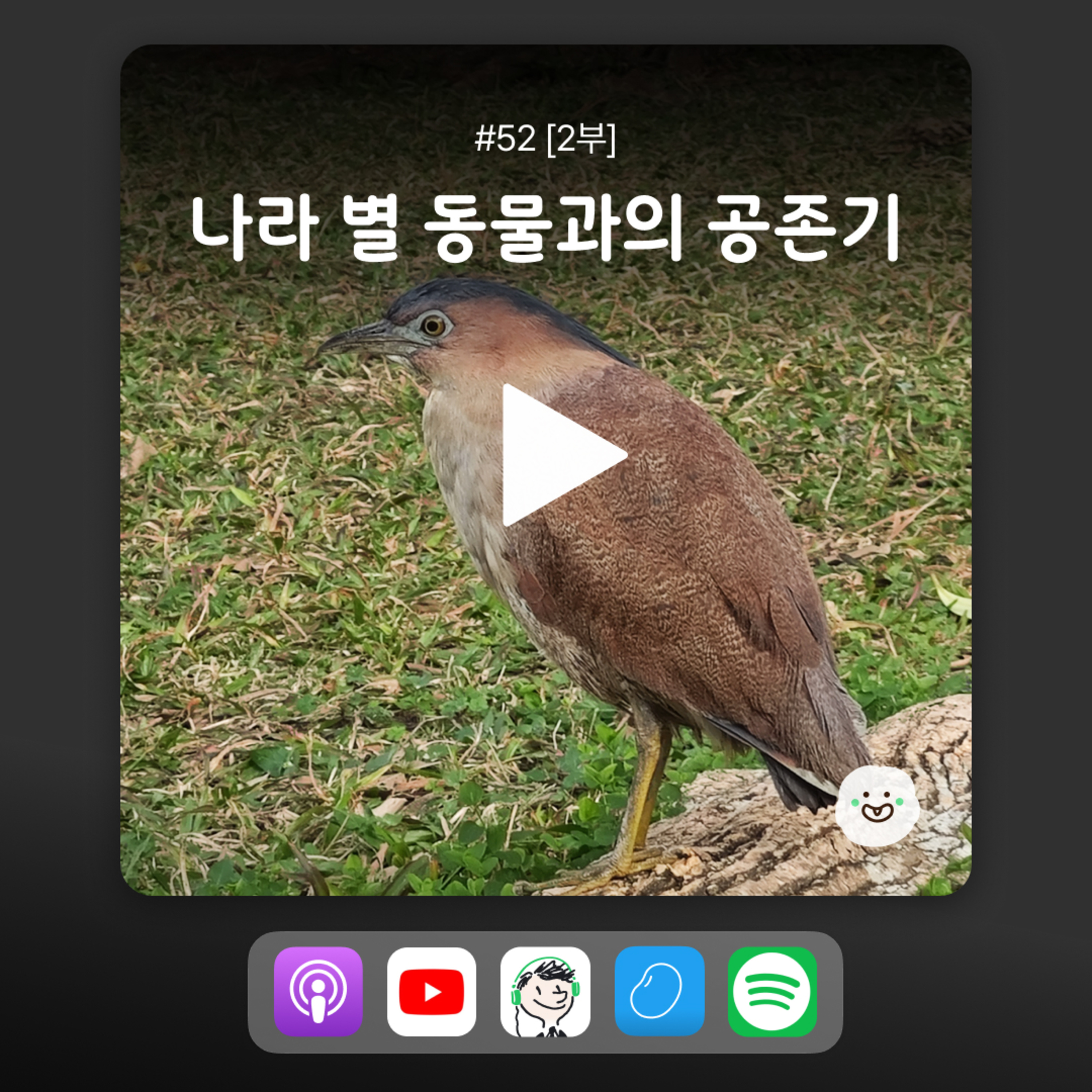ep52 [2부] 미국, 독일, 스위스… 비둘기부터 호랑이까지, 동물을 바라보는 각국의 시선 episode artwork