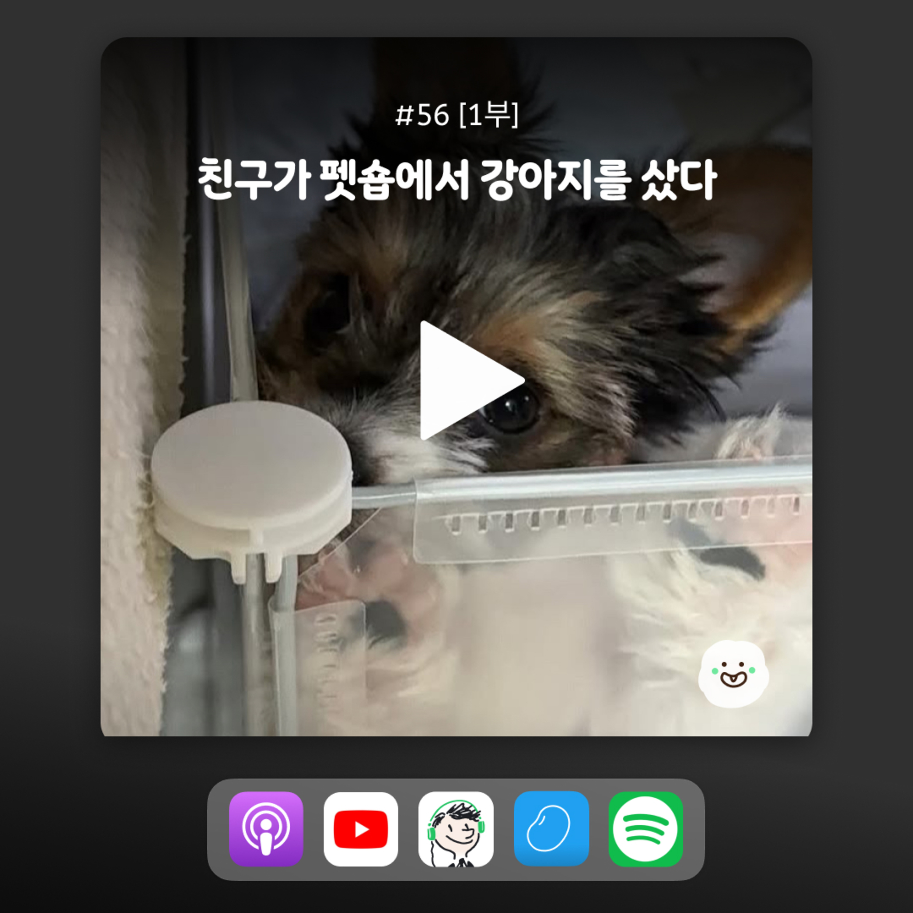 ep56 [1부] 논비건 친구가 펫숍에서 강아지를 사왔다 episode artwork