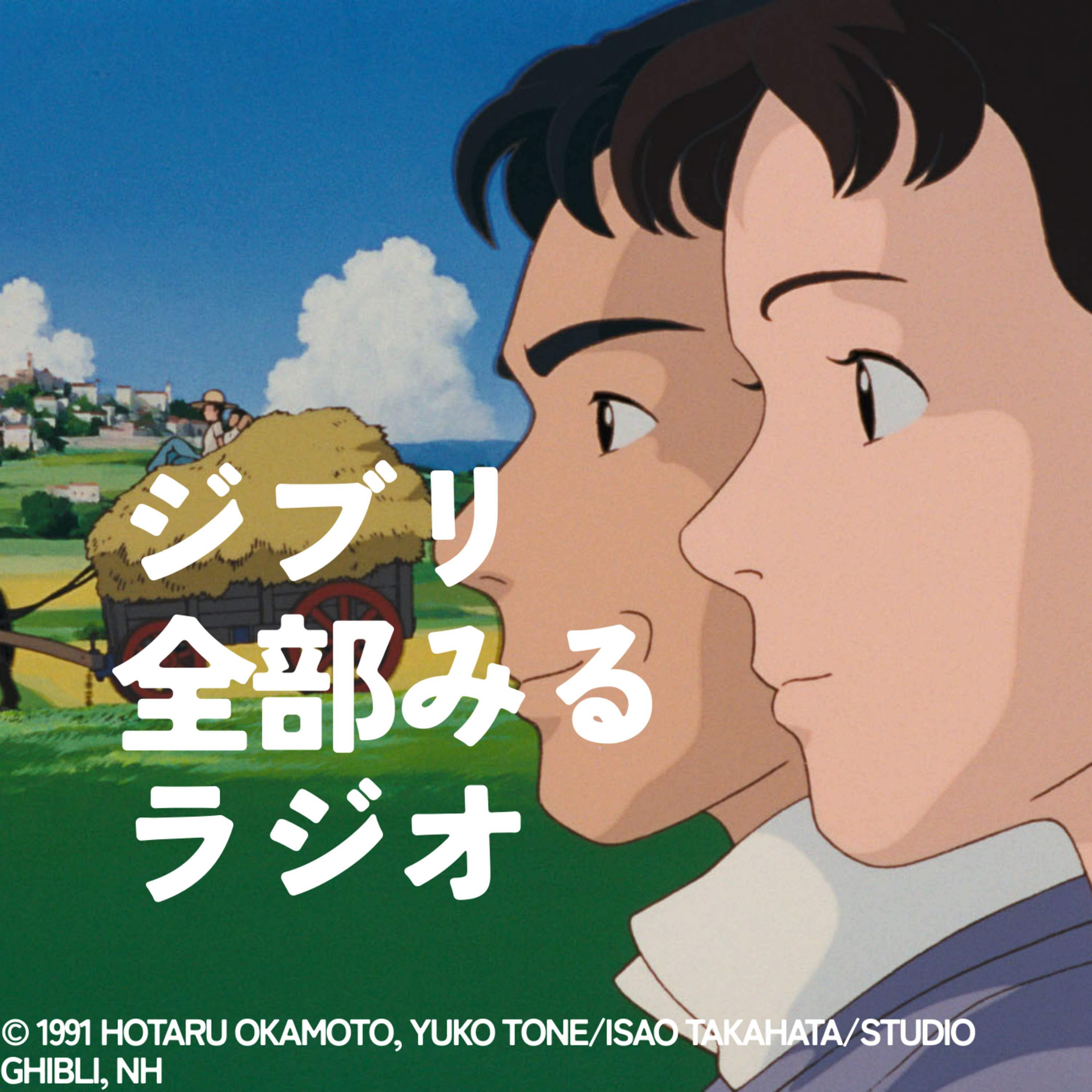 「おもひでぽろぽろ」を観る【後編】