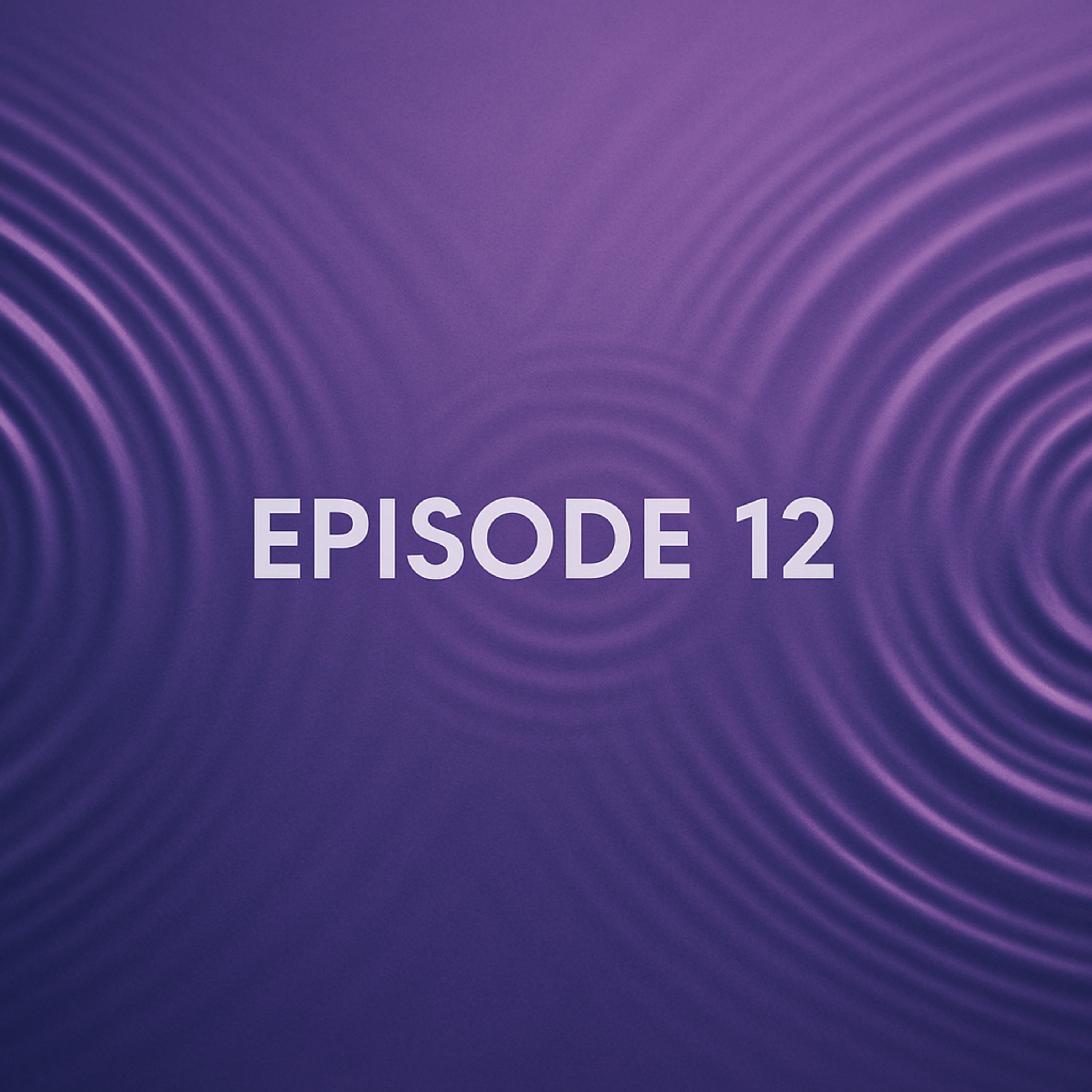 S1E12: A Civil Conversation With Another American, Learning From and With Each Other episode artwork