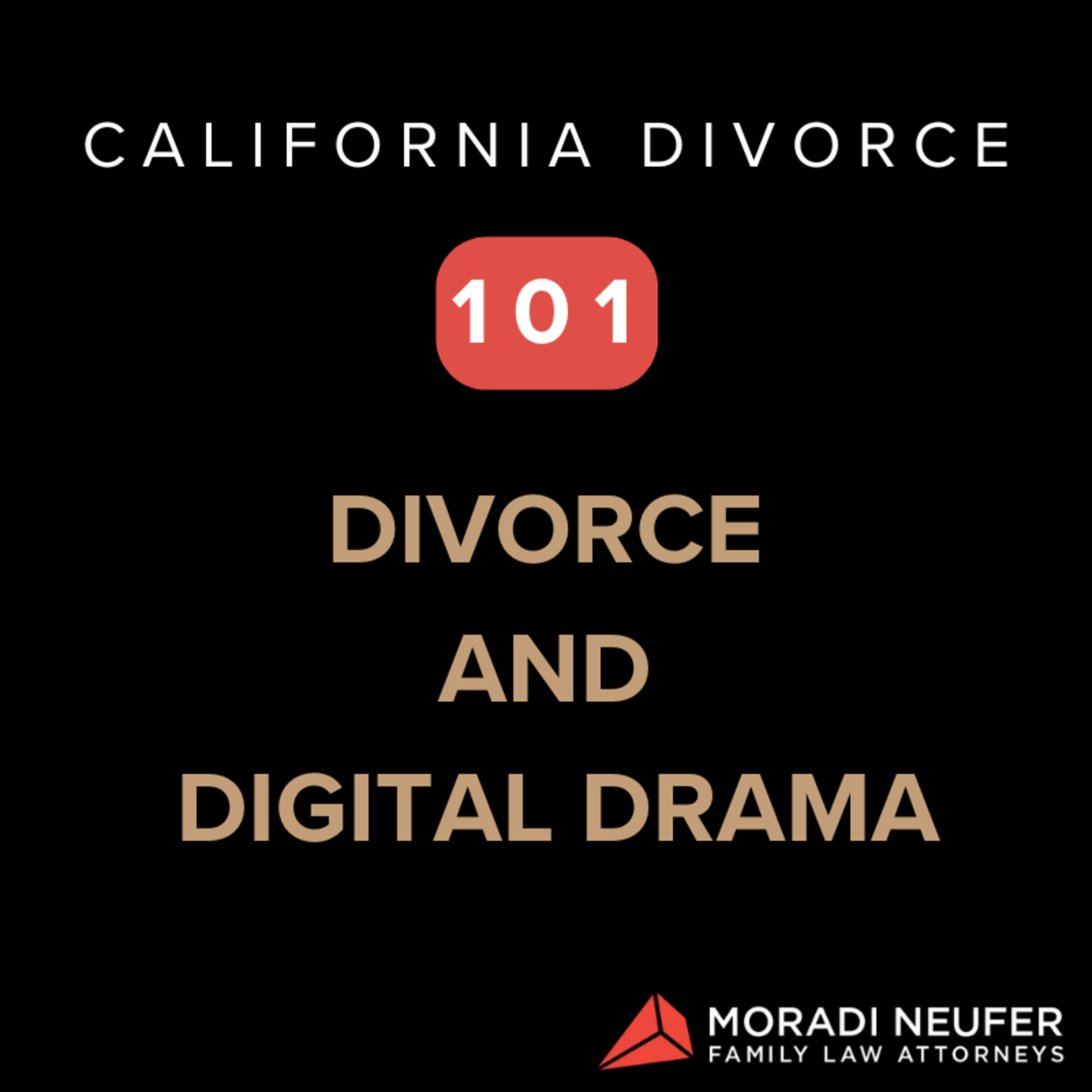 Divorce & Digital Drama: How Social Media Can Make or Break Your Case