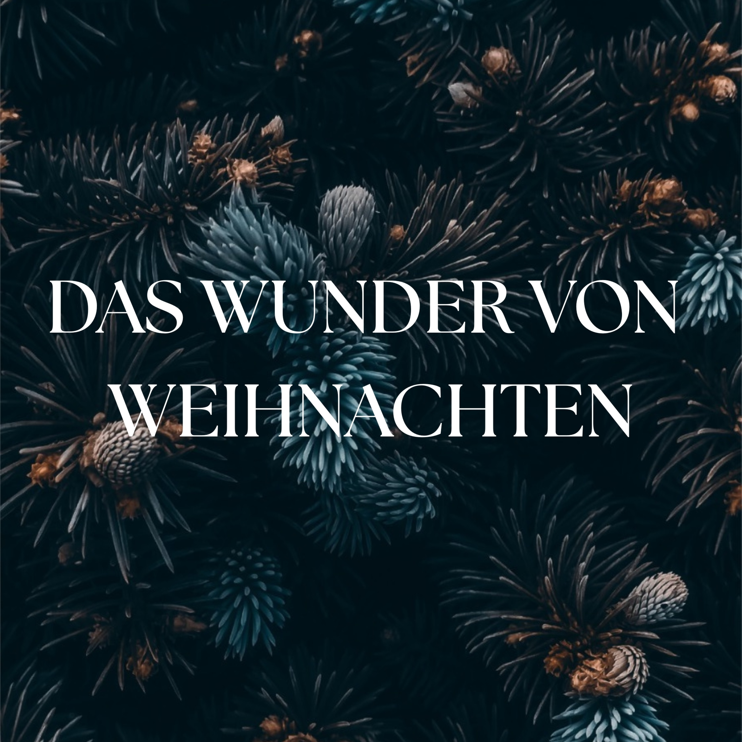 Heiligabend | Manuel Beez am 24.12.25 episode artwork