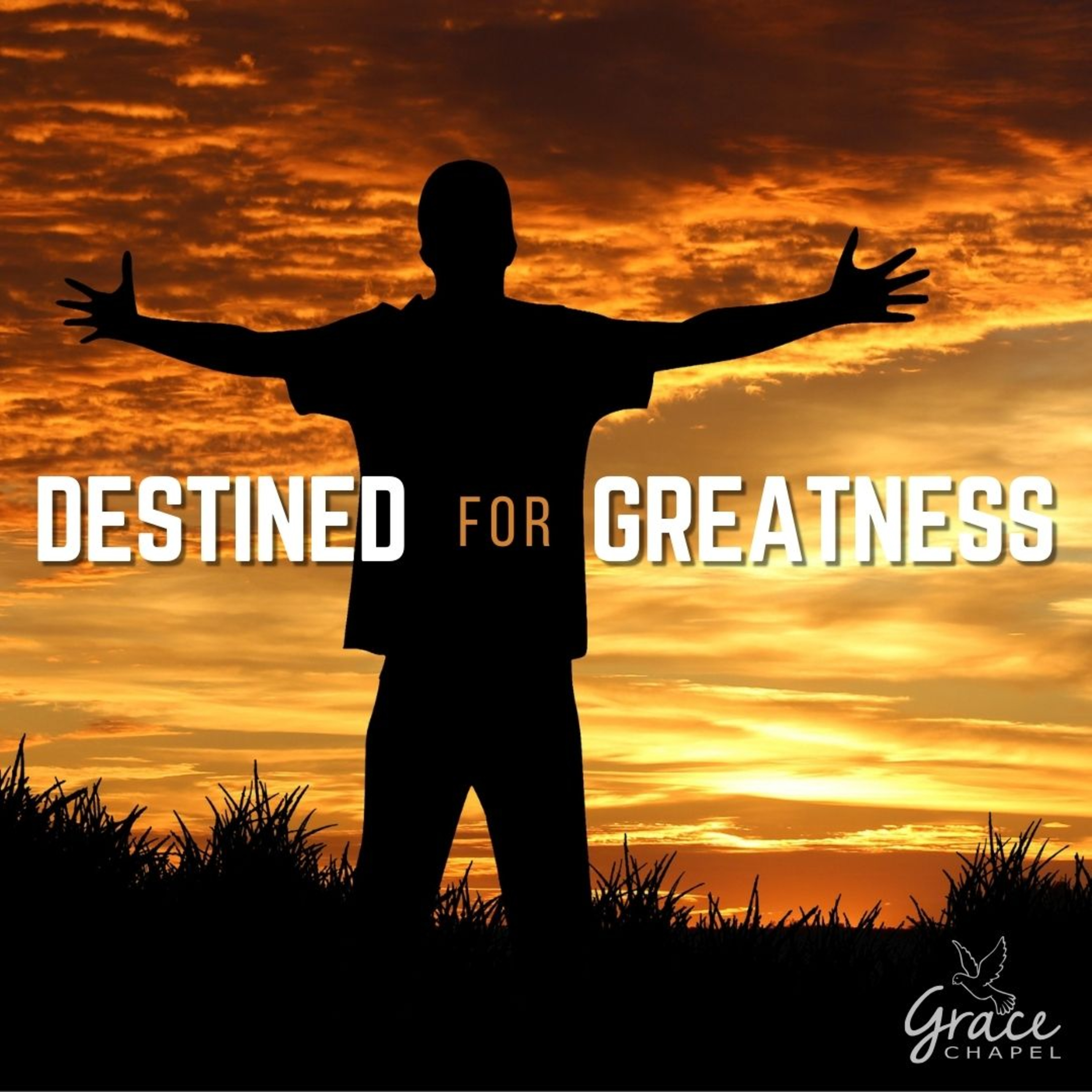 Destined for Greatness episode artwork
