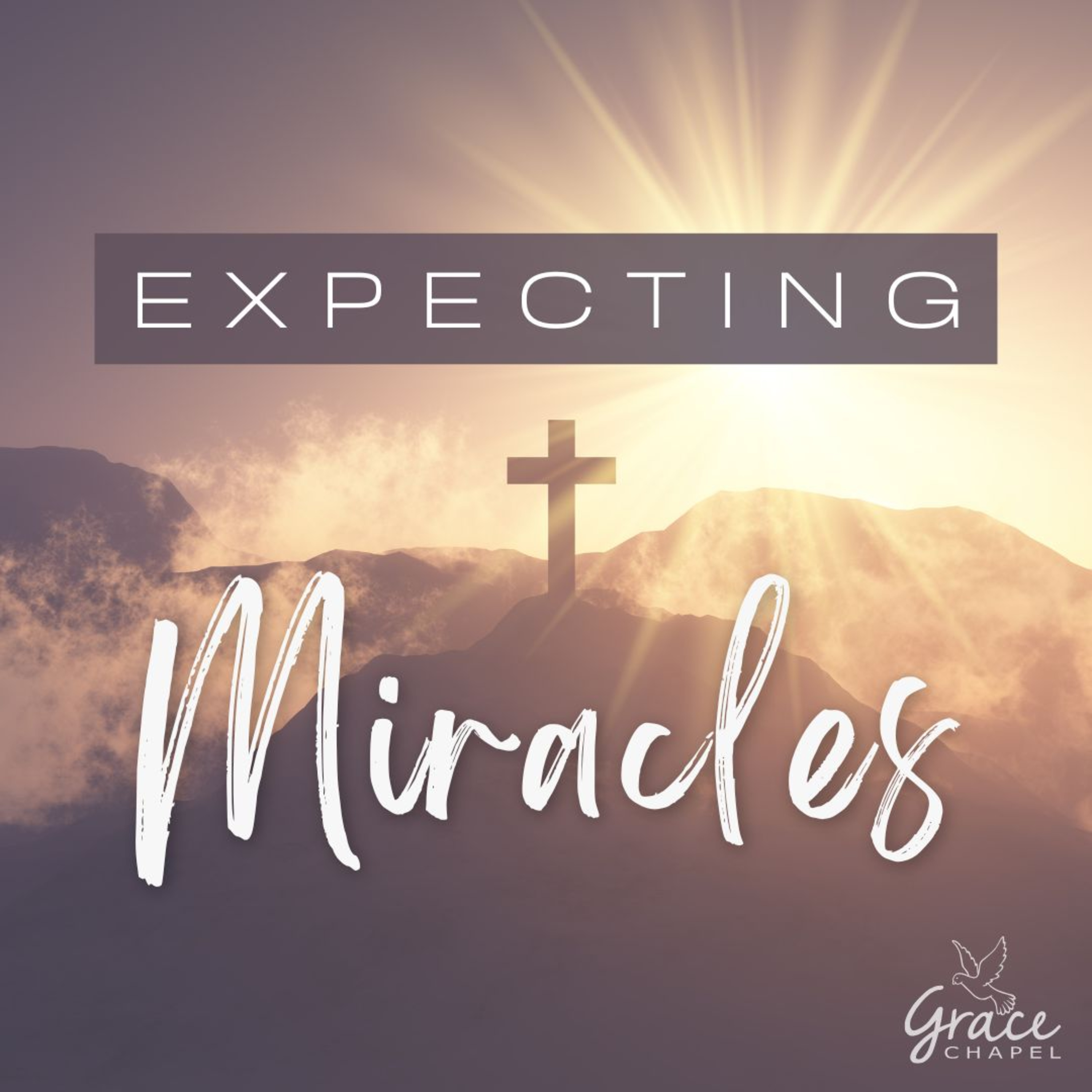 Expecting Miracles episode artwork