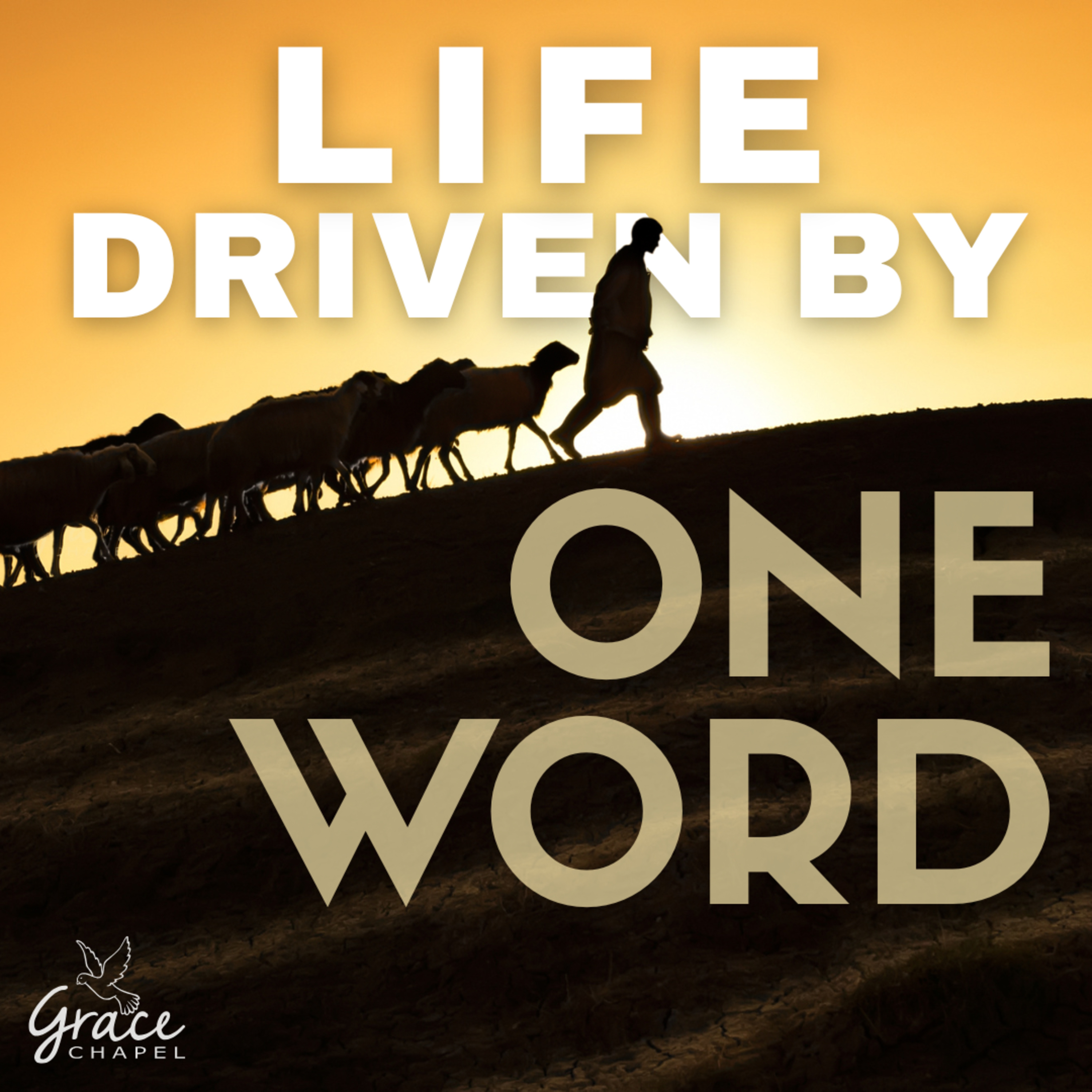 Life Driven by One Word episode artwork